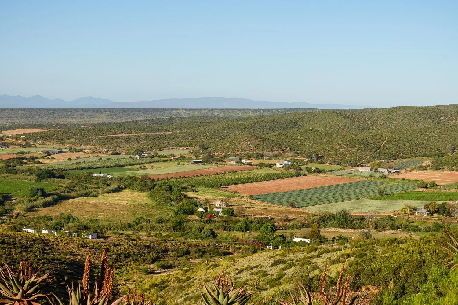 Swimming pool in Le Petit Karoo