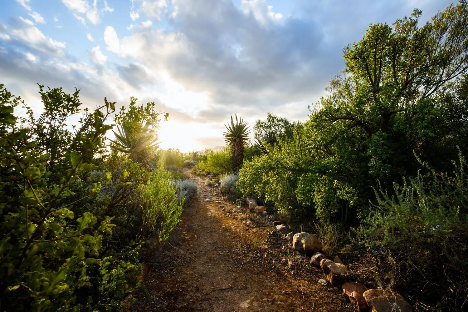Hiking in Le Petit Karoo