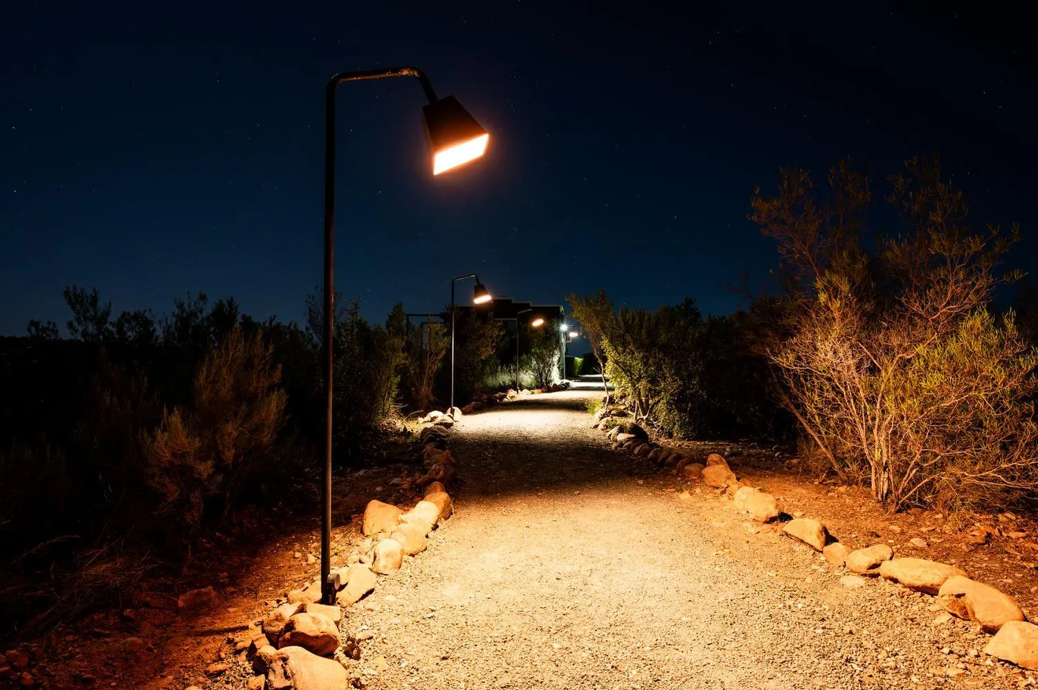 Garden in Le Petit Karoo