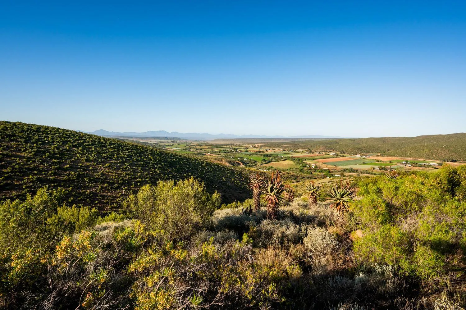 Swimming pool in Le Petit Karoo