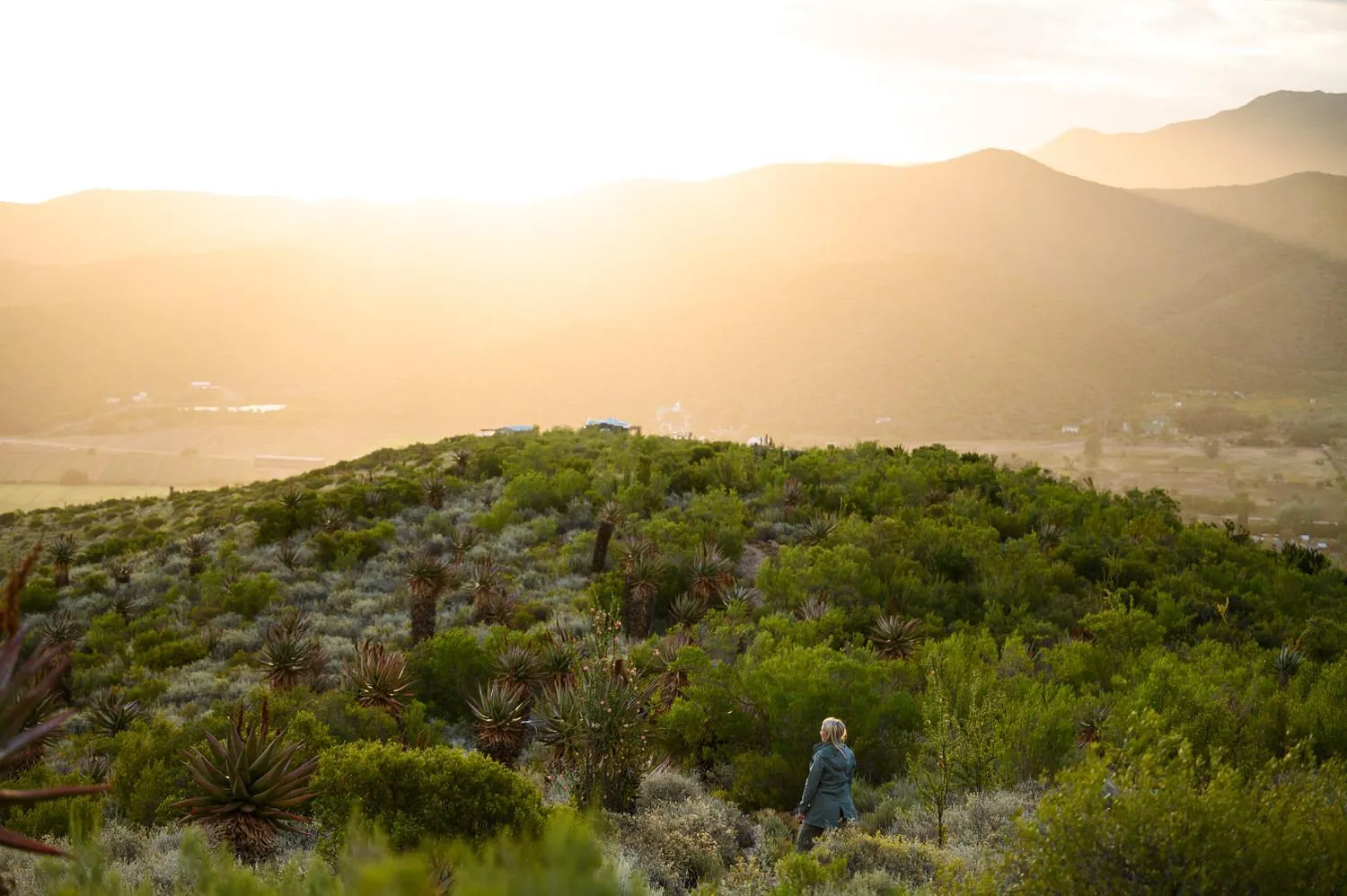 Hiking in Le Petit Karoo