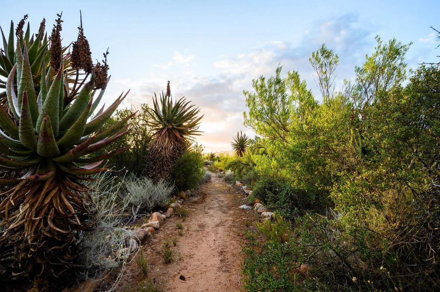 Hiking in Le Petit Karoo