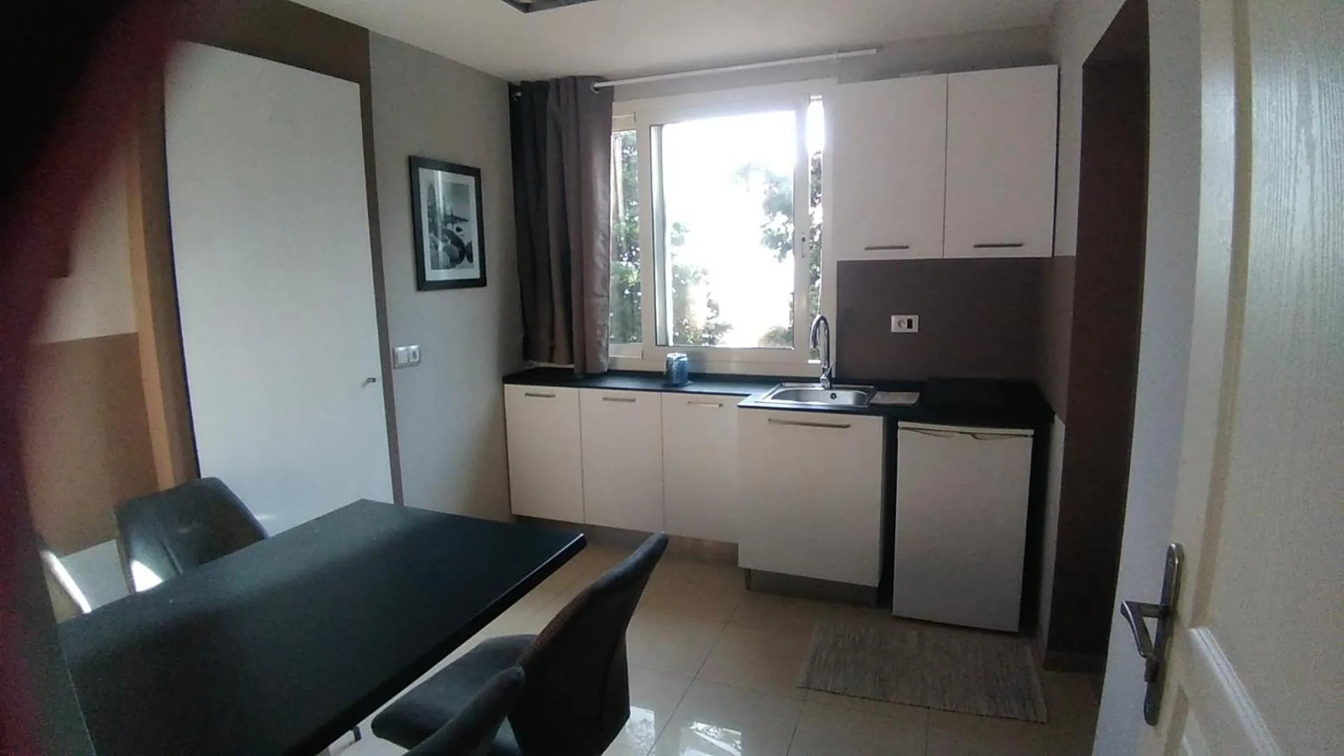 Kitchen or kitchenette in Villa Azur Cap d'Ail