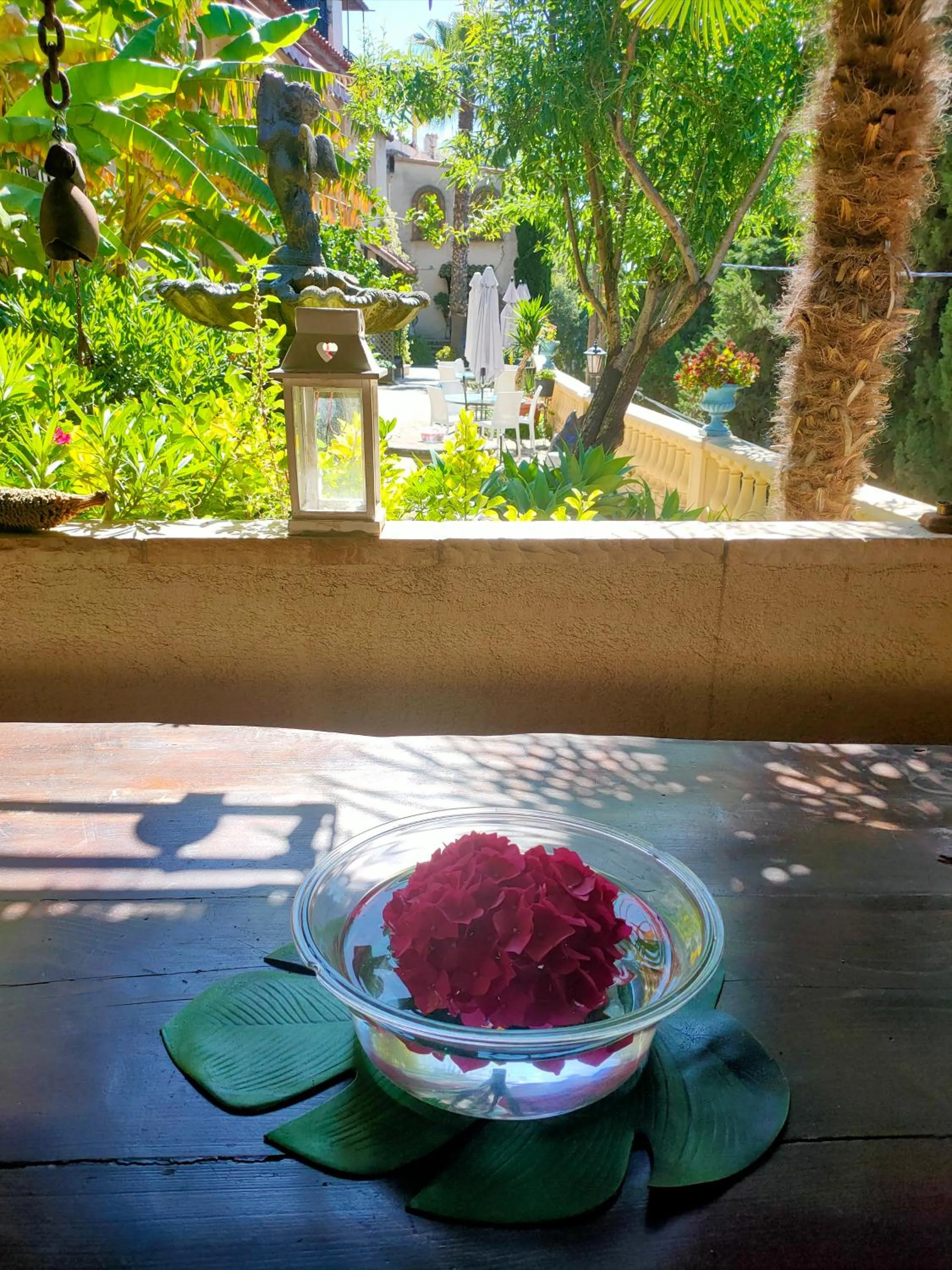 Garden in Villa Azur Cap d'Ail