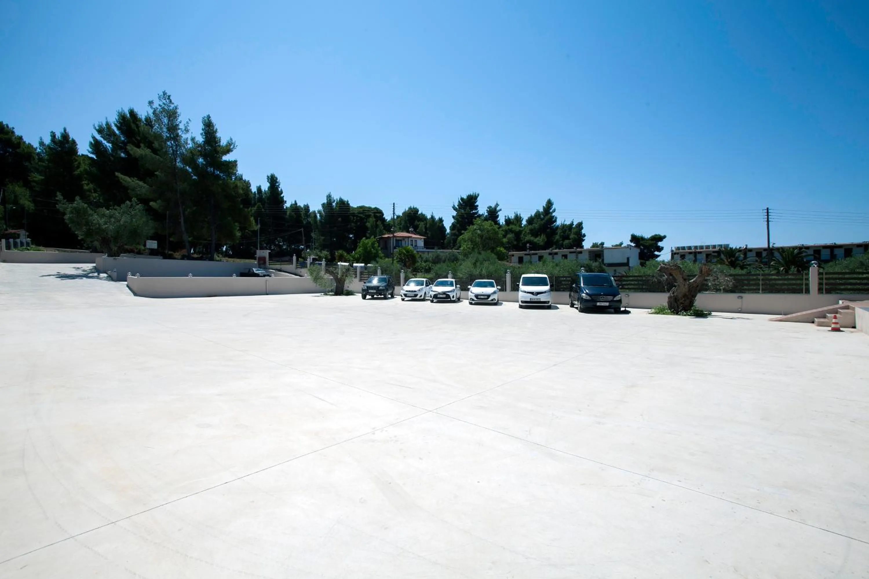 Area and facilities in Hotel Simeon