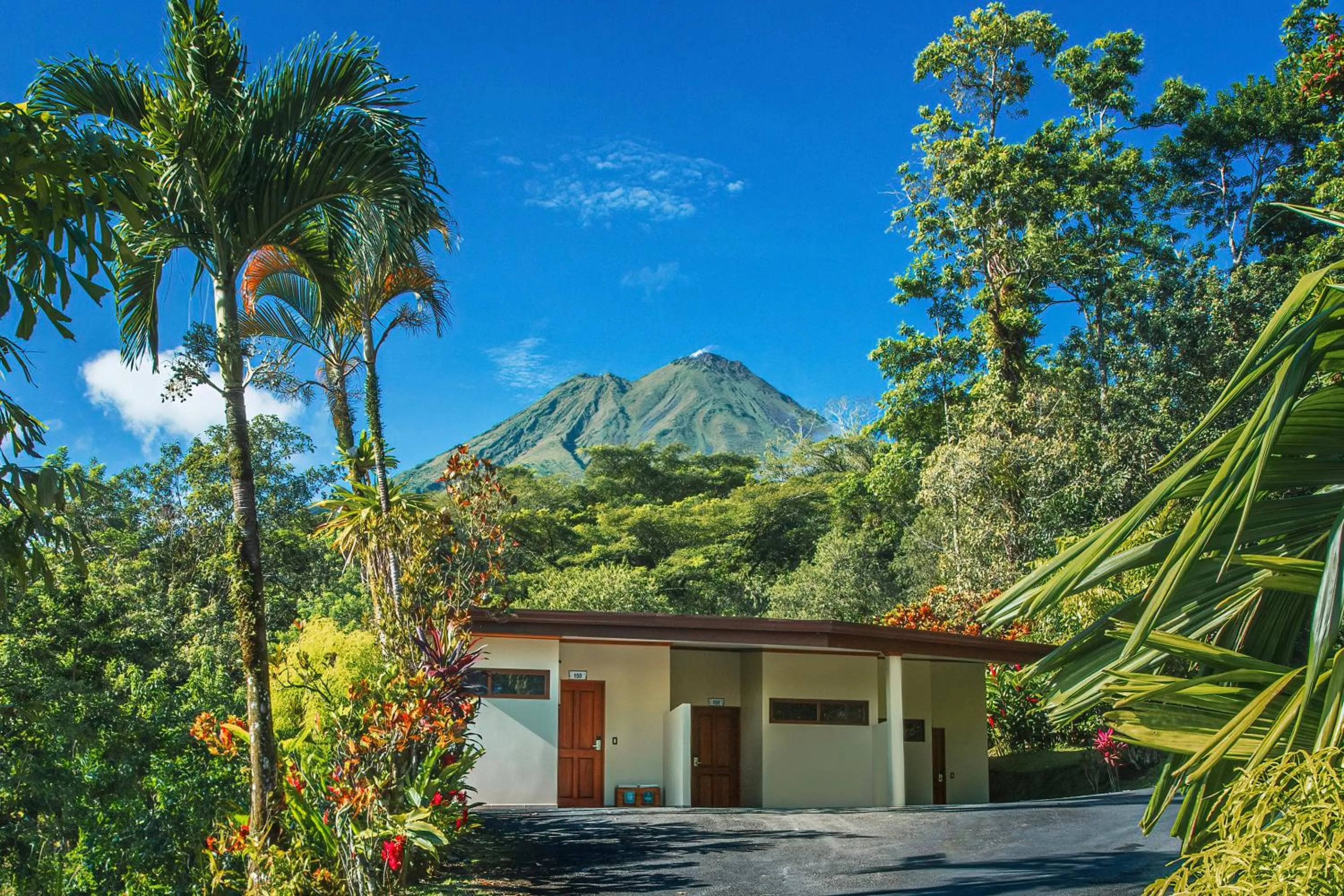 Garden view in Hotel Los Lagos Spa & Resort