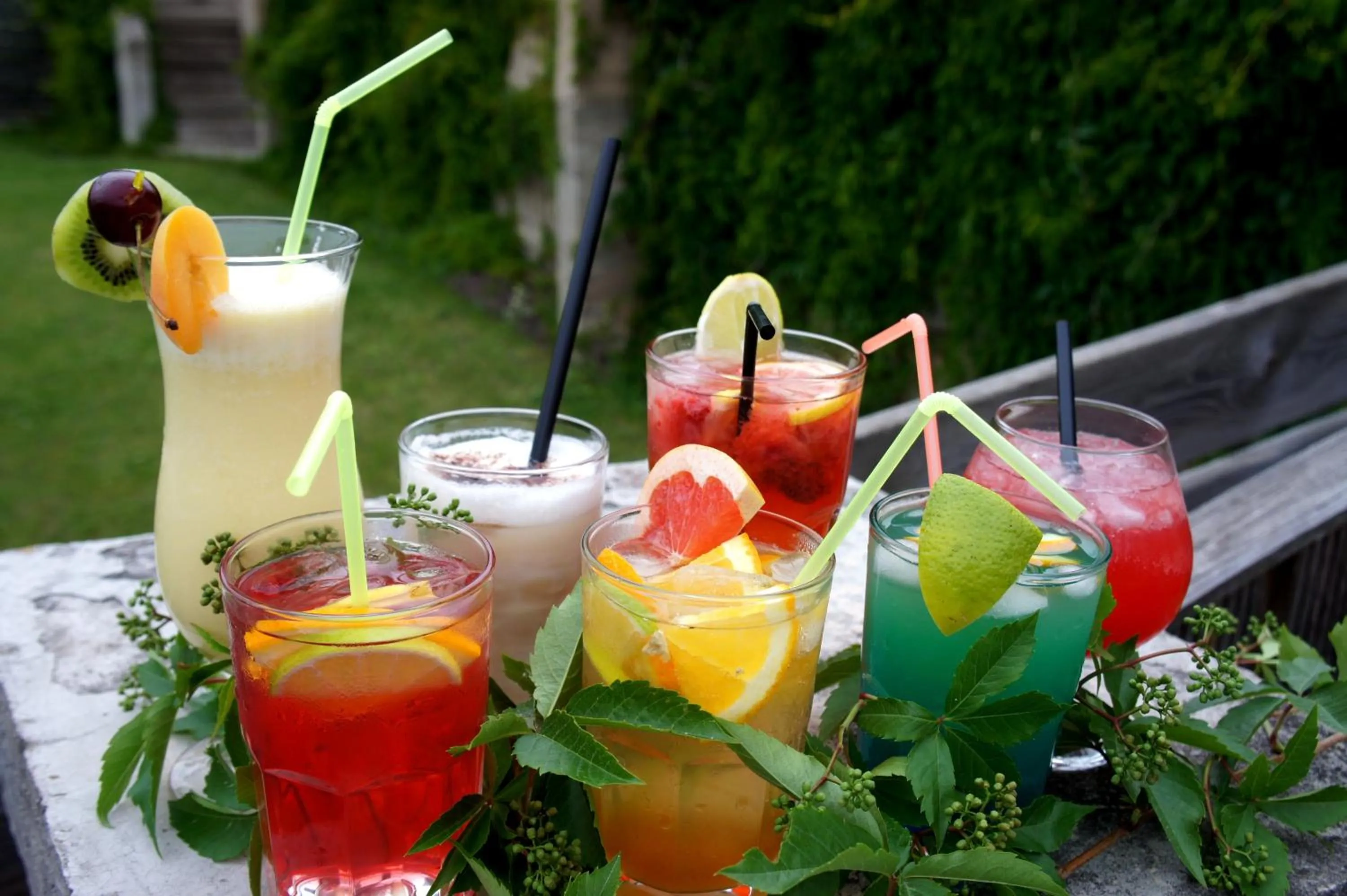 Drinks in Hotel Tukums