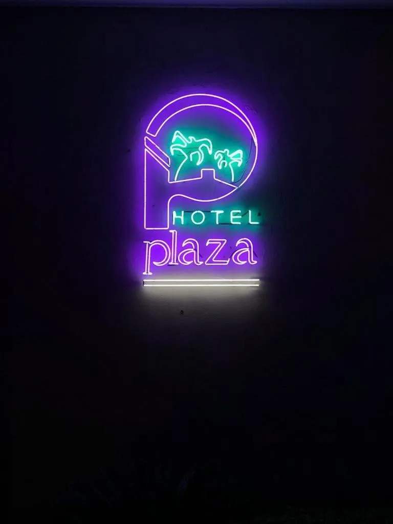 Hotel Plaza Arteaga