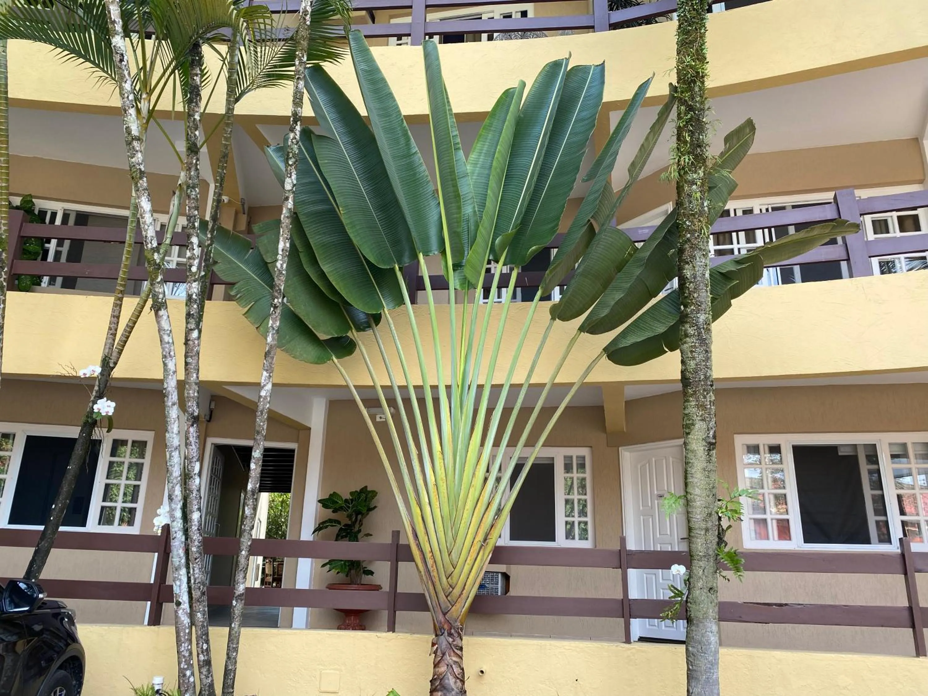 Property building in Flat estudio 110 Amarilis Riviera de São Lourenço, 03 piscina climatizada, serviço de hotelaria, limpesa e troca de toalhas diária, carregador veiculo elétrico e servico de praia finais de semana WiFi 500