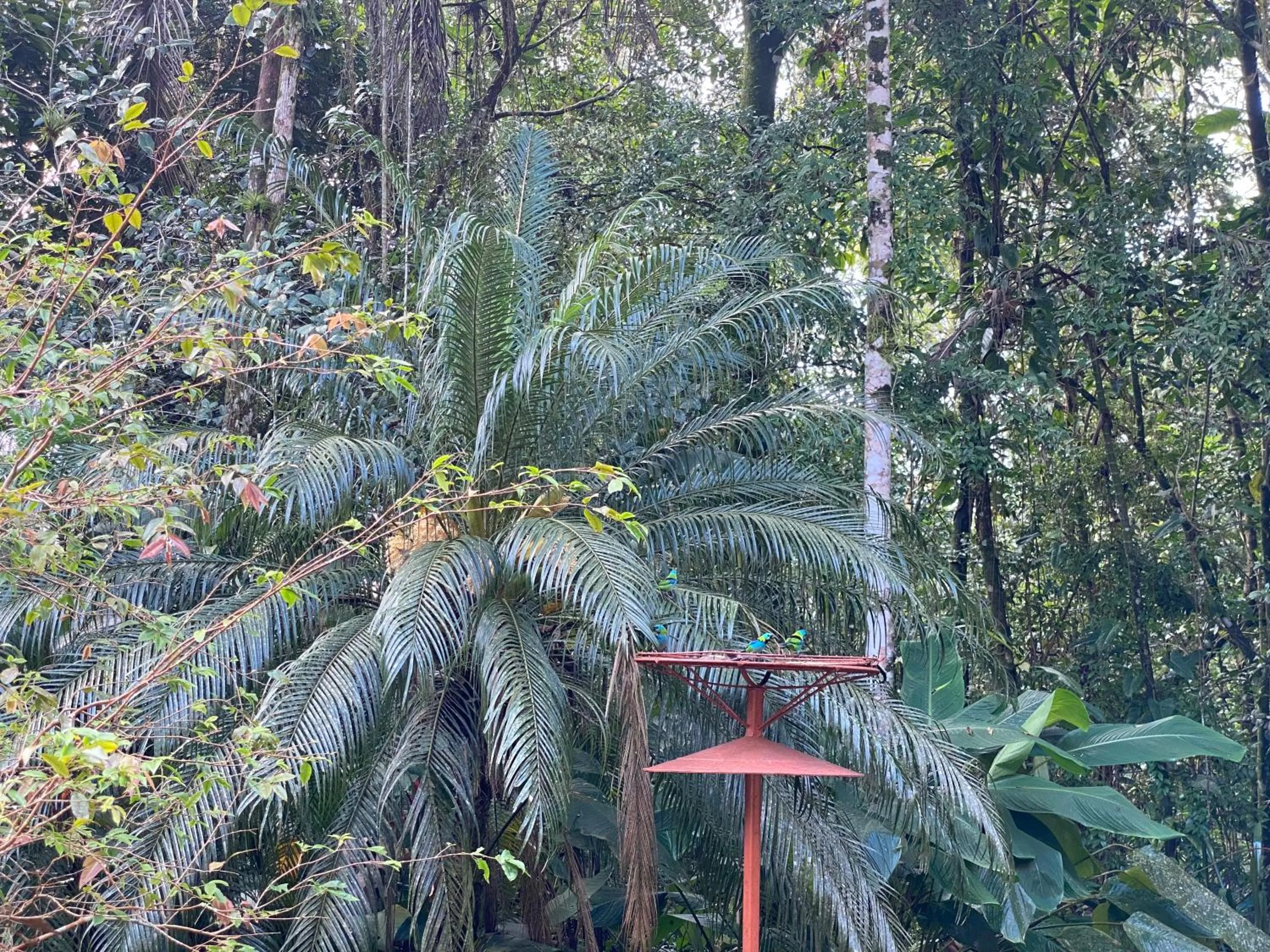 Spring in Flat estudio 110 Amarilis Riviera de São Lourenço, 03 piscina climatizada, serviço de hotelaria, limpesa e troca de toalhas diária, carregador veiculo elétrico e servico de praia finais de semana WiFi 500