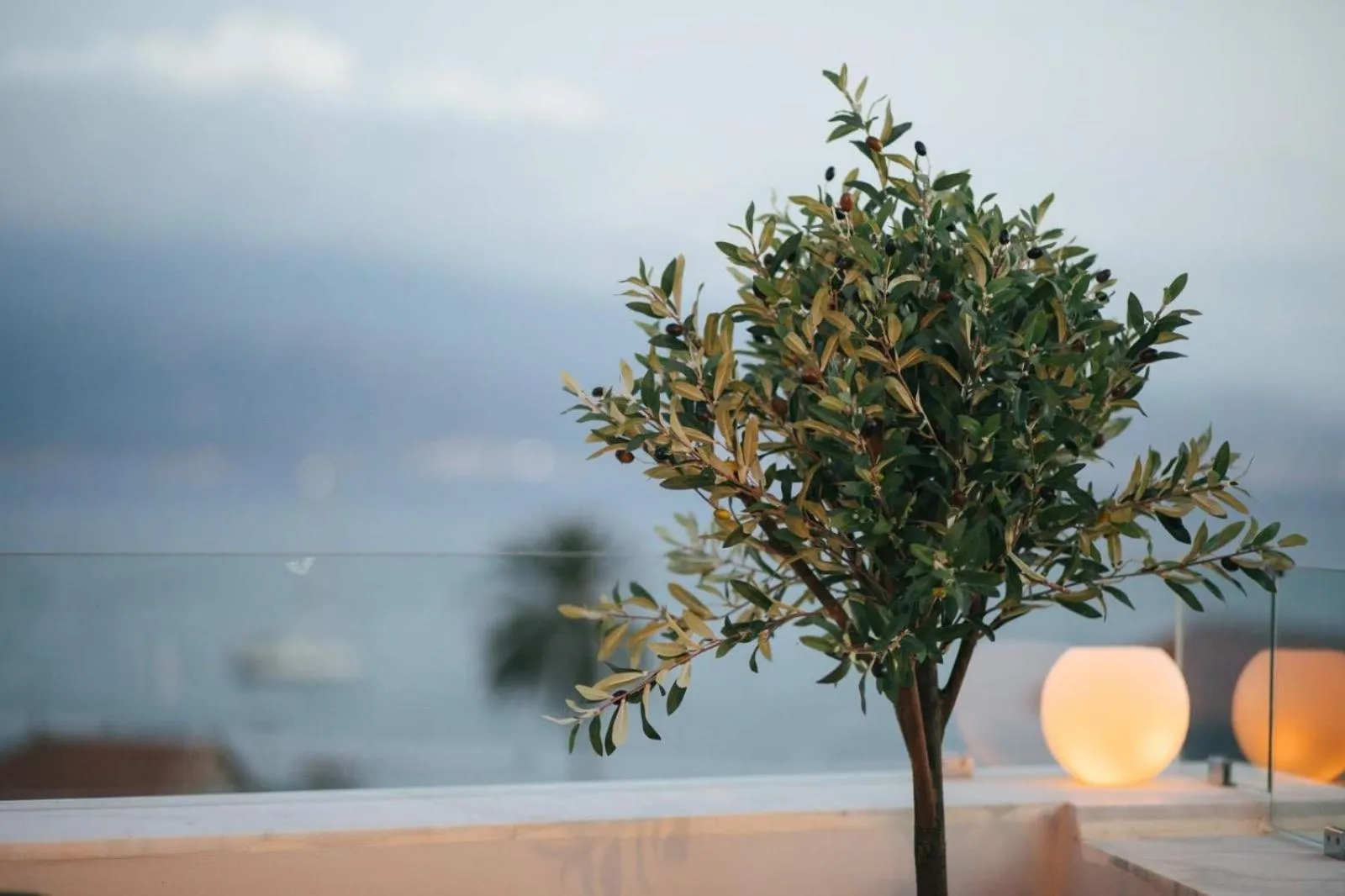 Restaurant/places to eat in Amaryllis