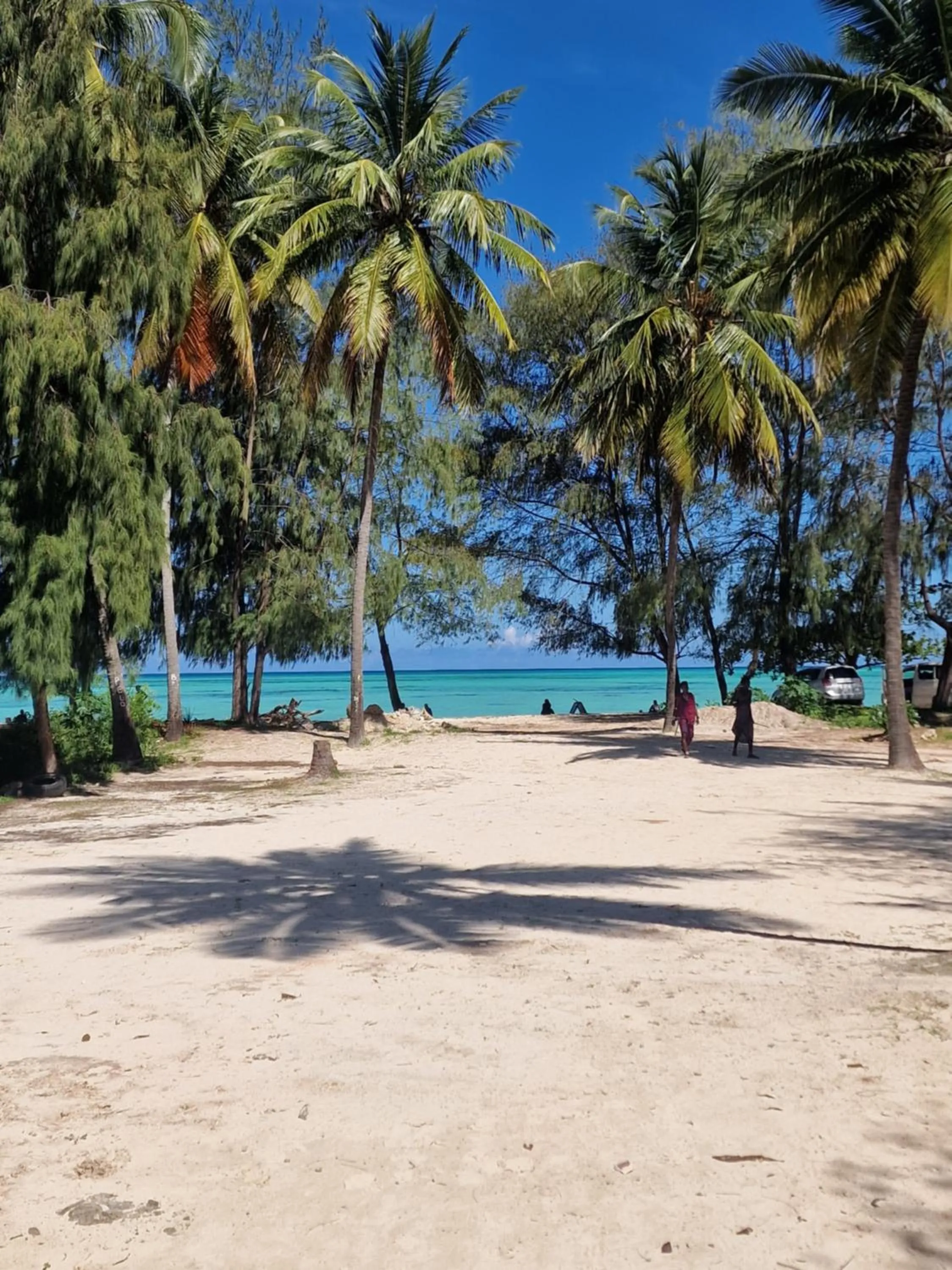 Natural landscape in Dhow Inn Boutique Hotel