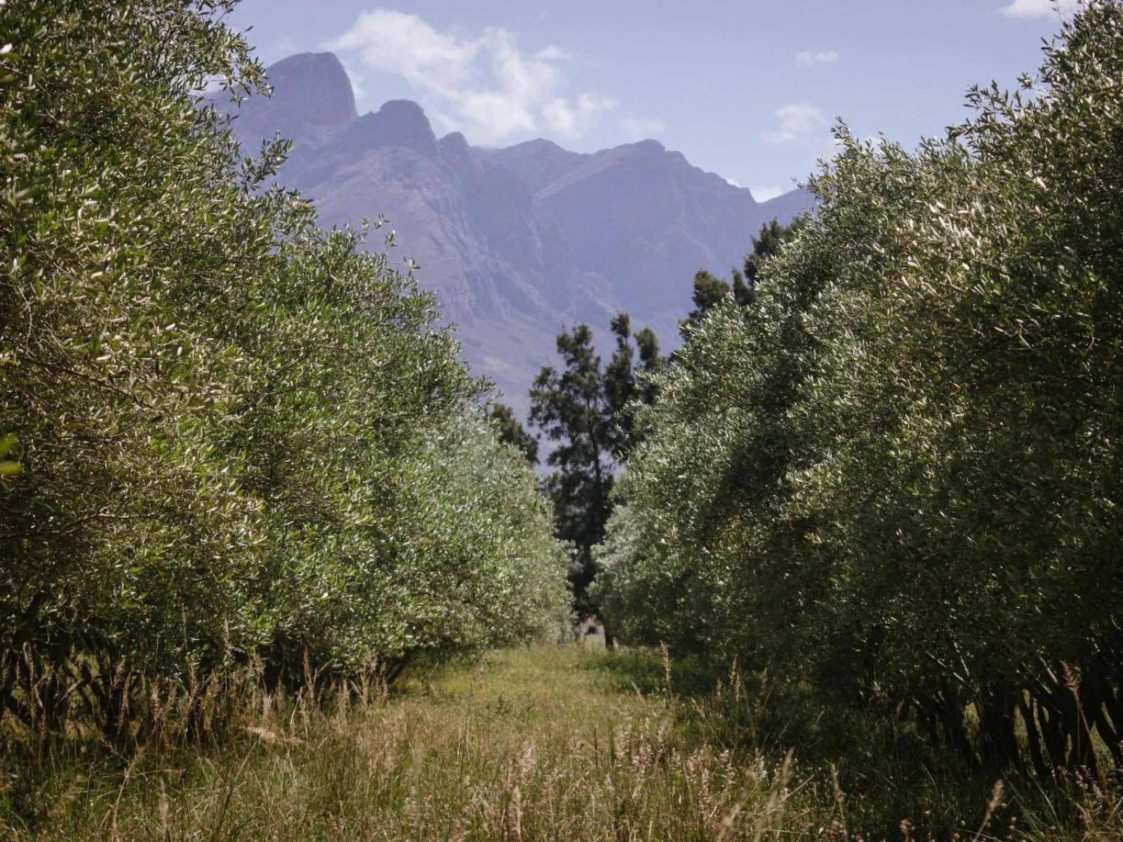 Natural landscape in Duikersdrift Winelands Country Escape
