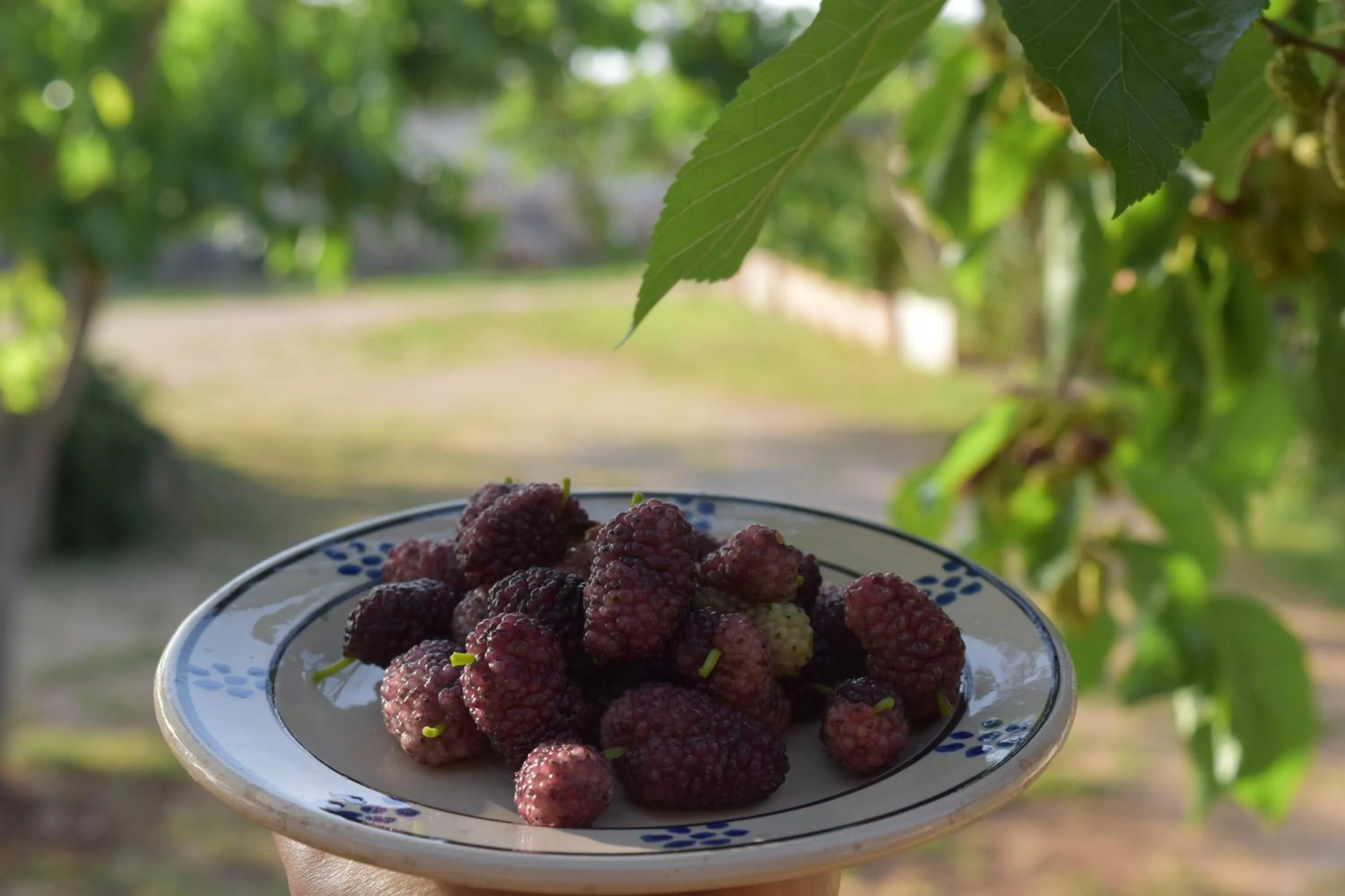 Property building in Tenuta Nonno Carmine
