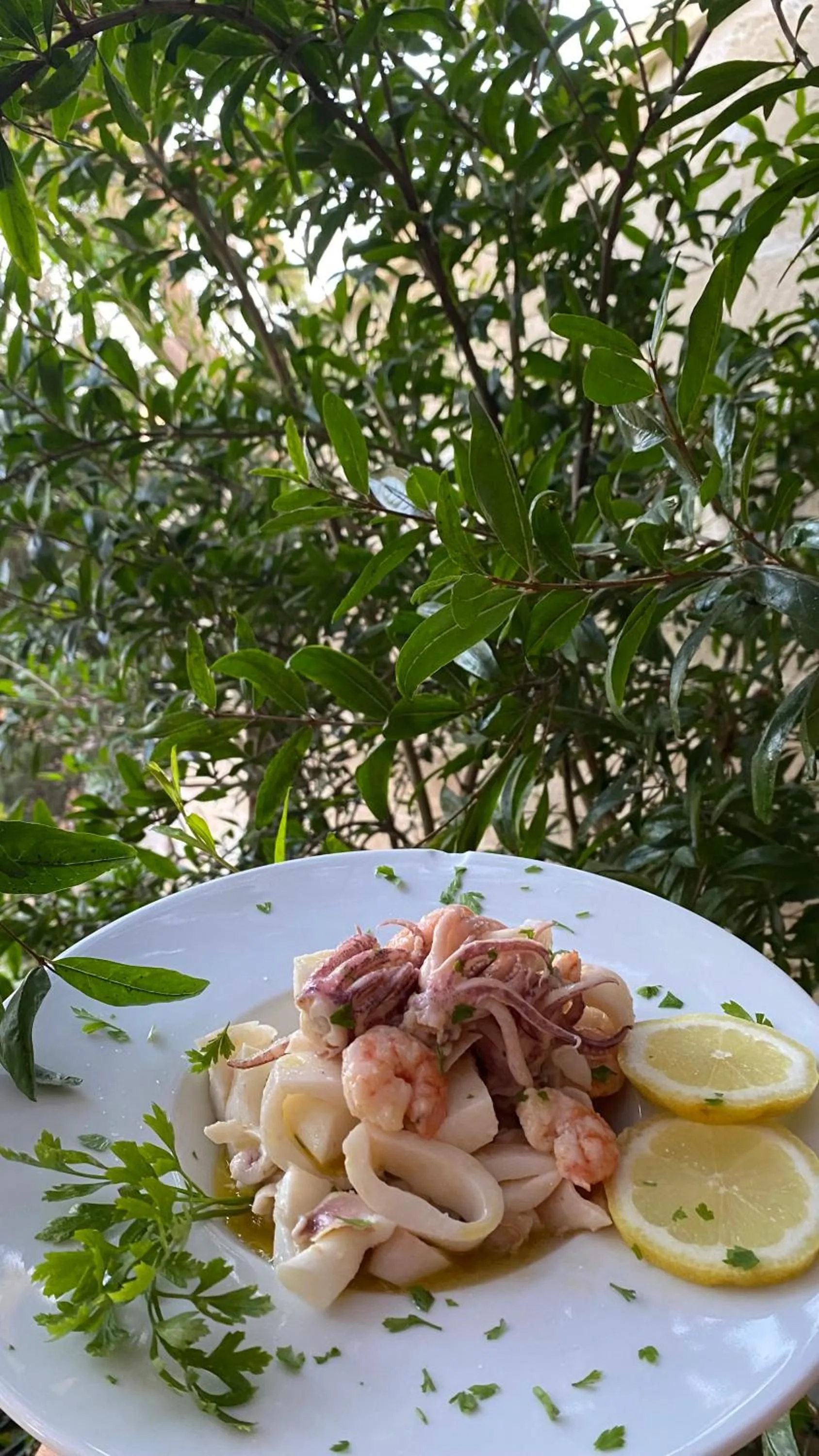 Tenuta Nonno Carmine