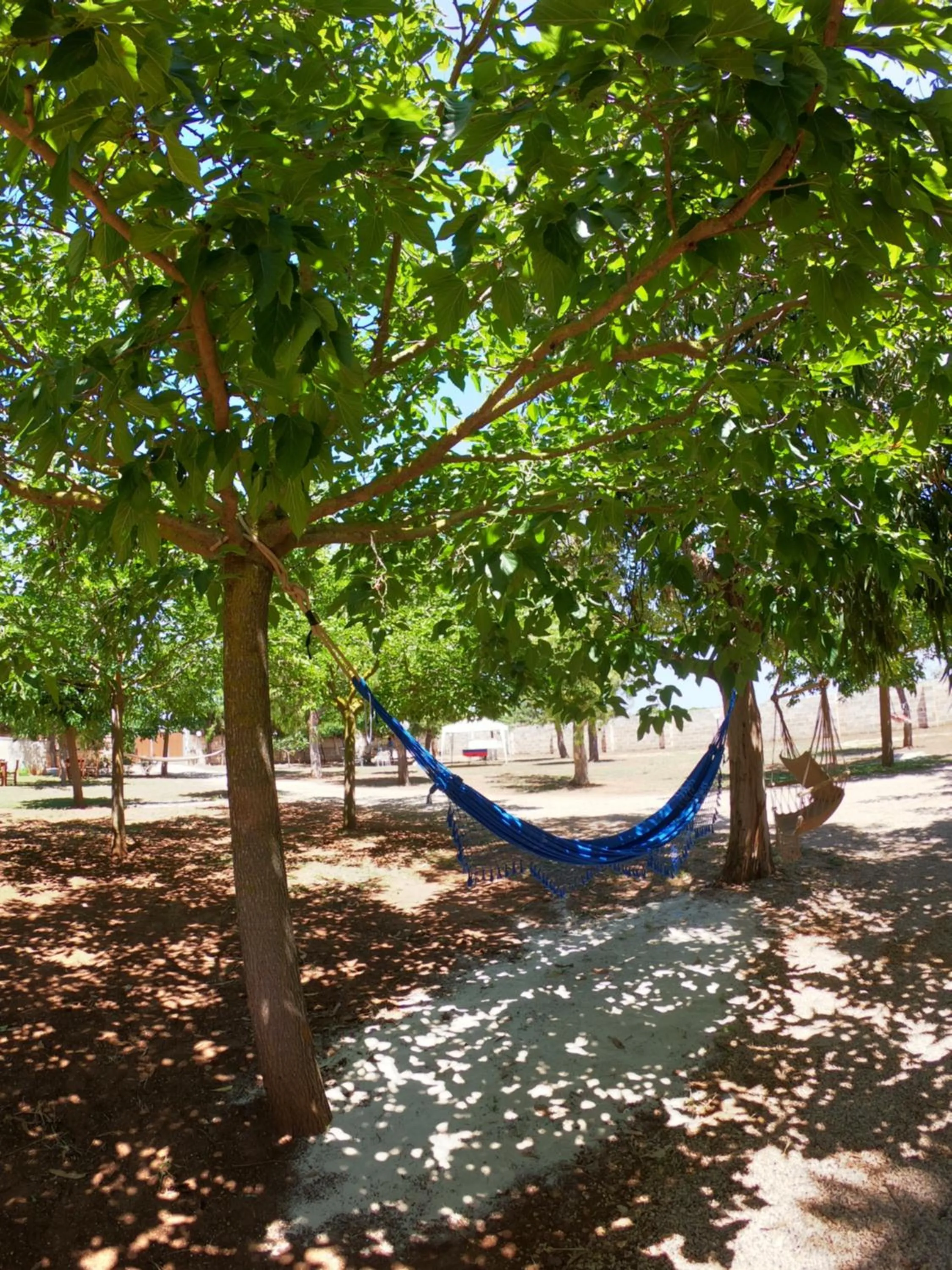 Tenuta Nonno Carmine