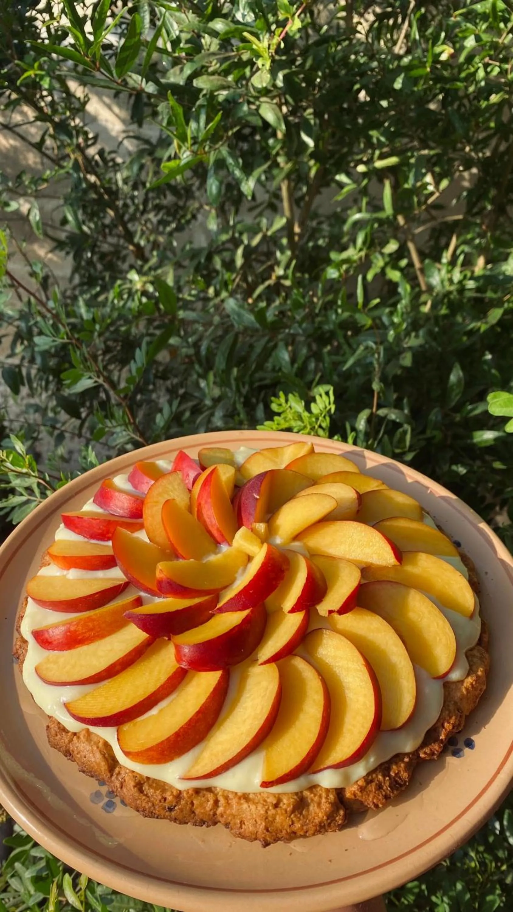 Tenuta Nonno Carmine