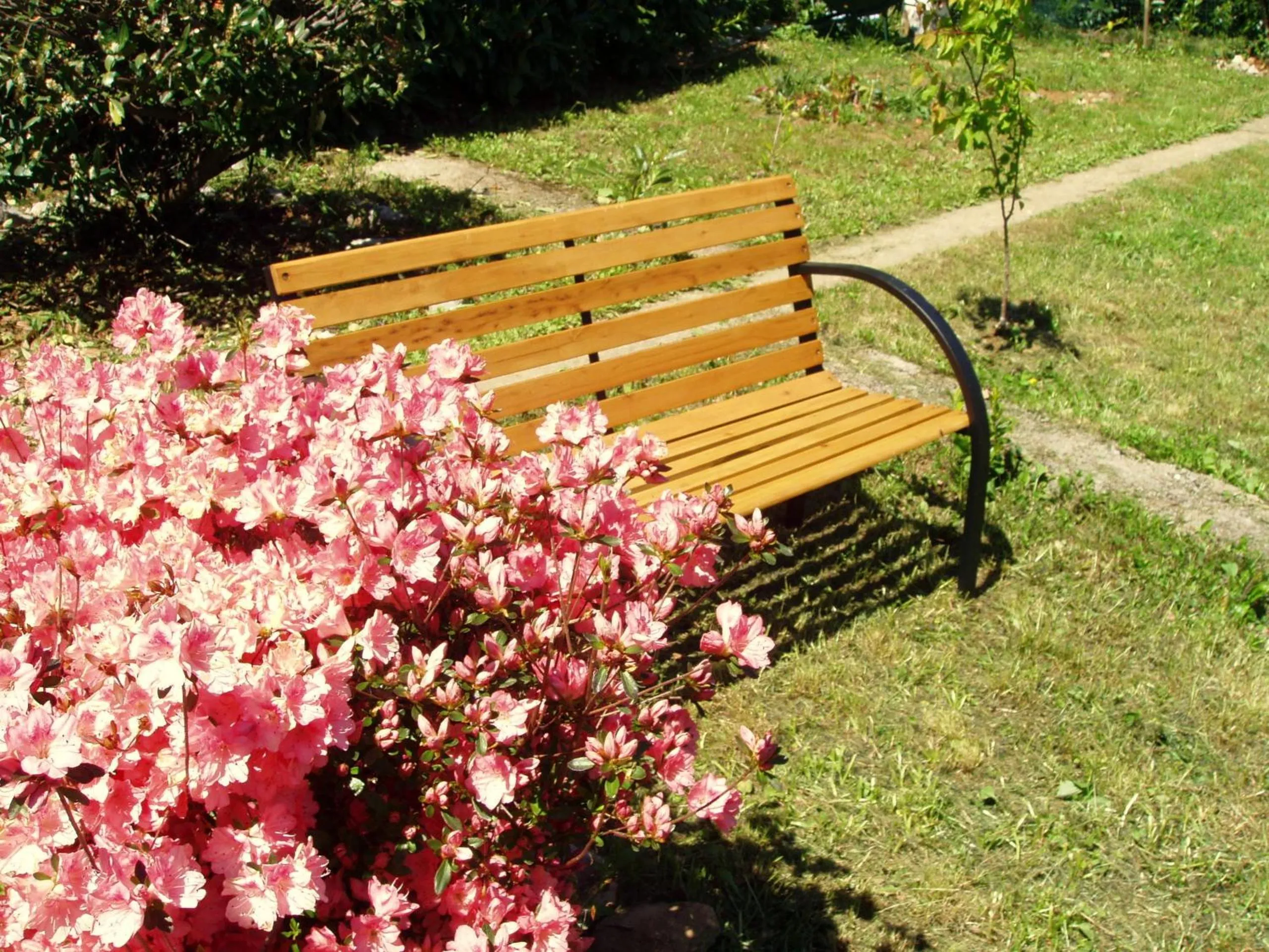 Garden in Apartments Kestenovi Dvori