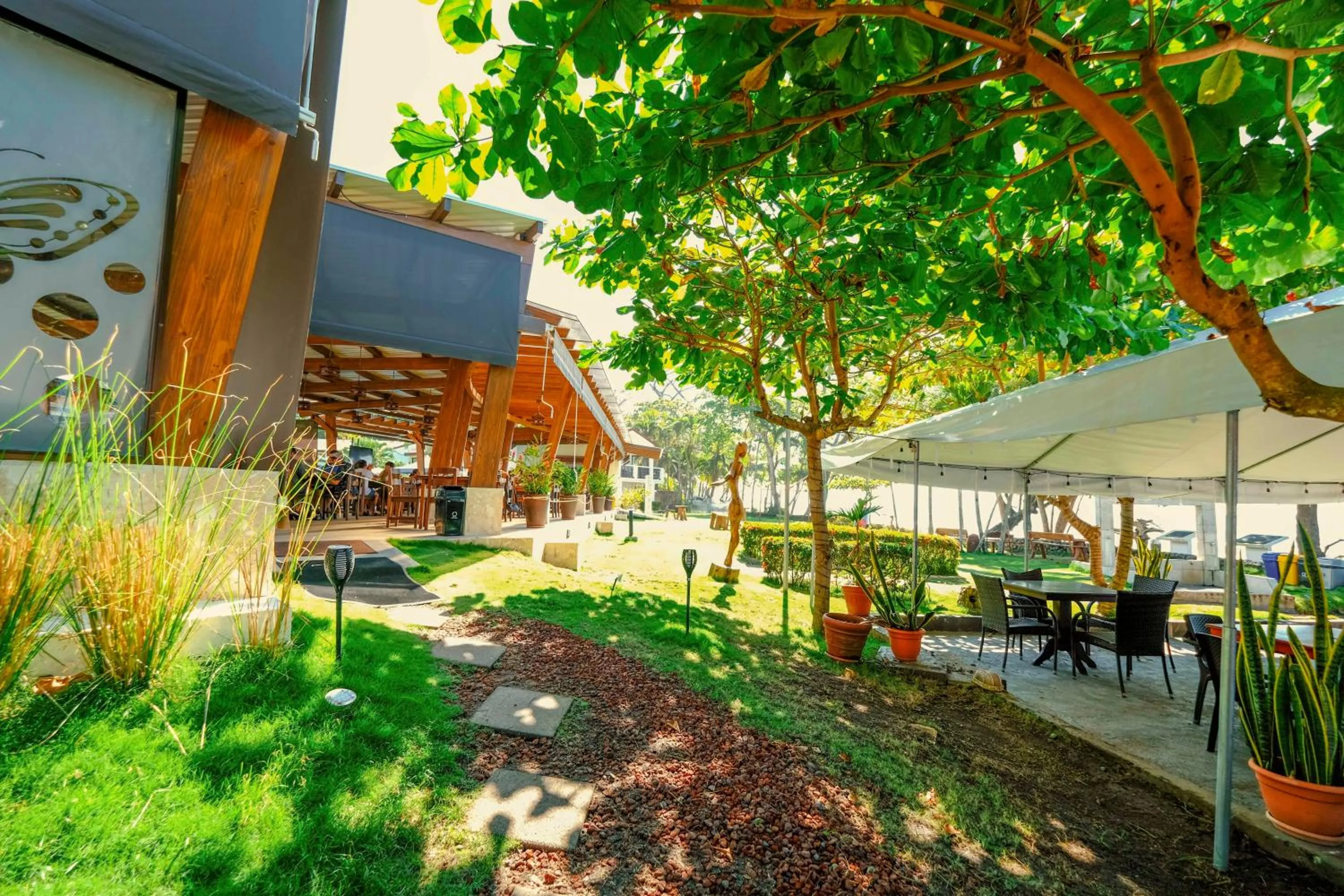 Natural landscape in Hotel Terraza del Pacifico