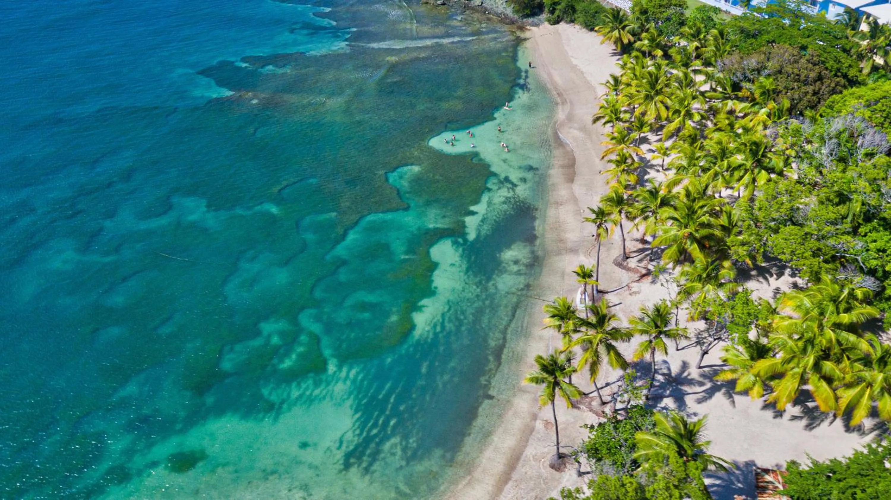 Natural landscape in Senator Puerto Plata