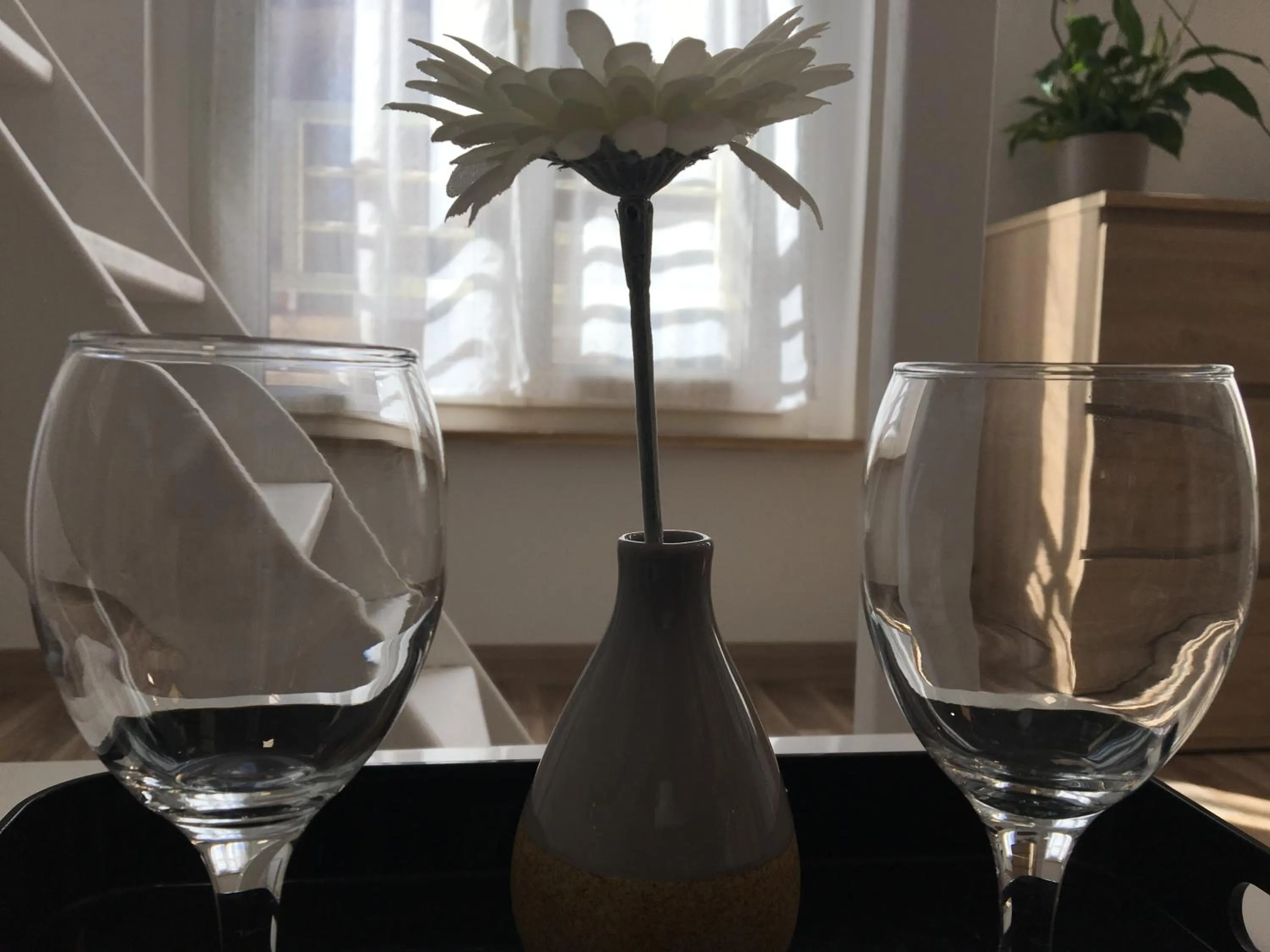 Drinks in Studio Cosy