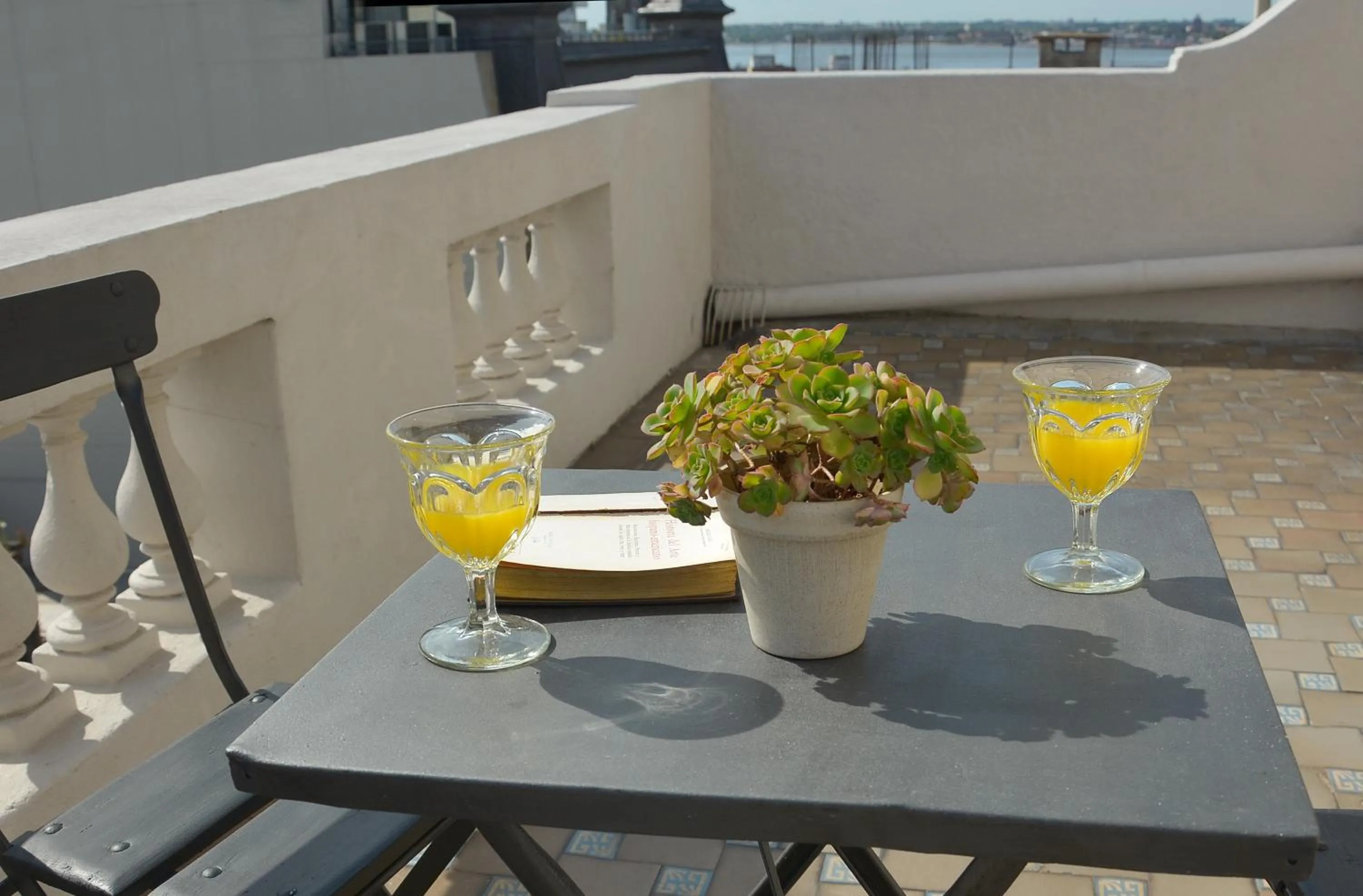Balcony/Terrace in Hotel Palacio
