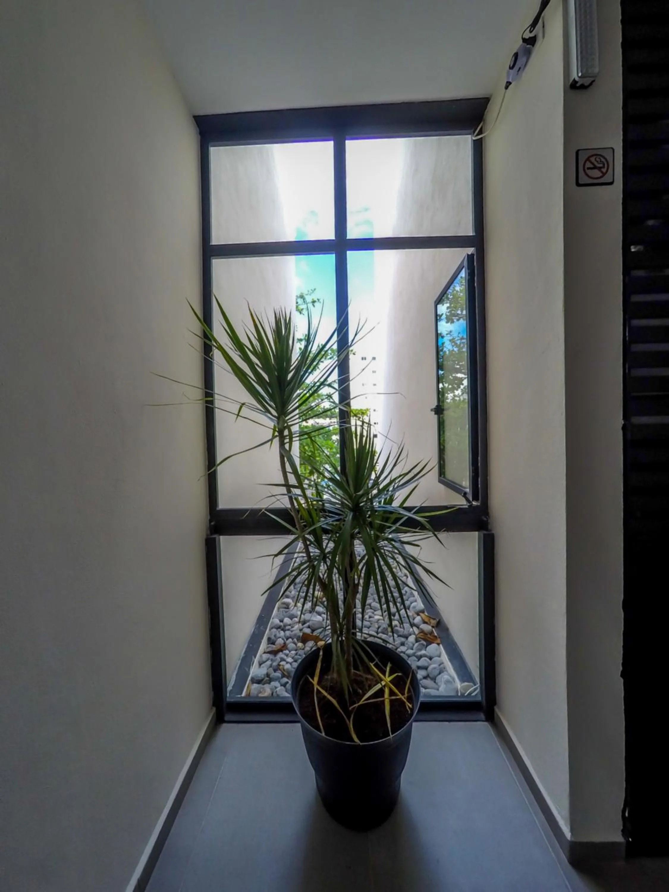 Property building in Viento Suites Cancún