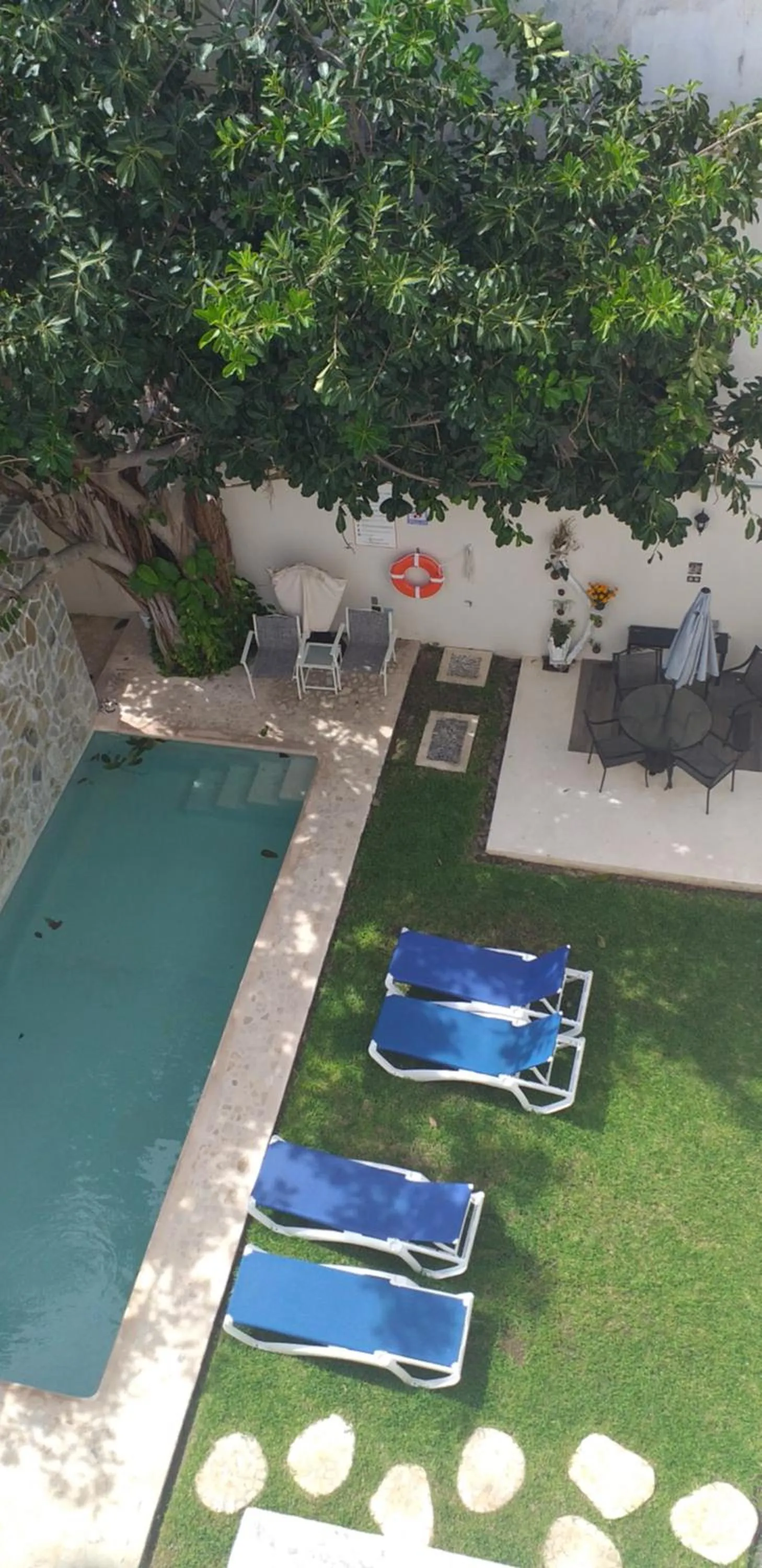 Garden in Viento Suites Cancún