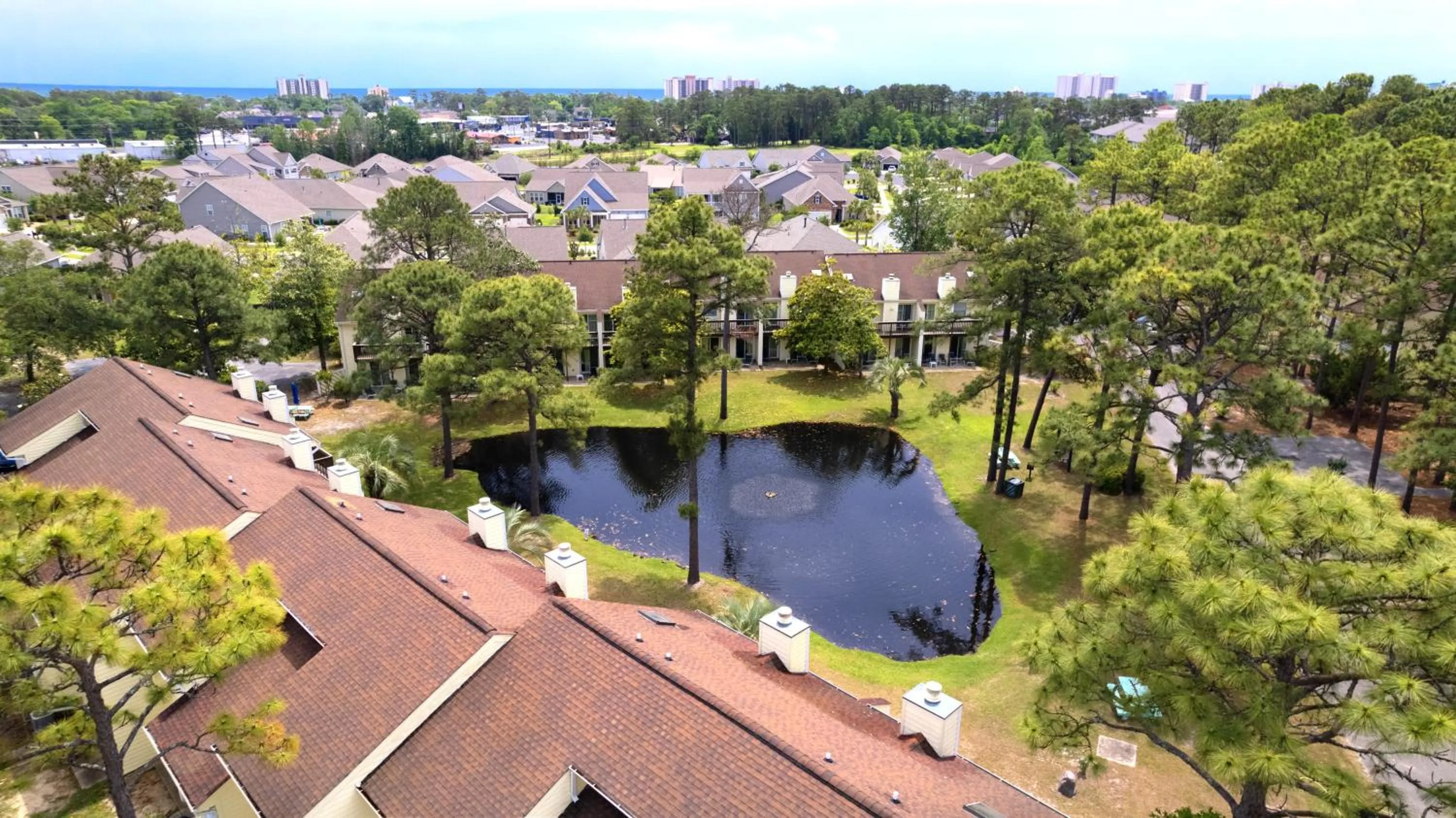 Bird's eye view in The Links