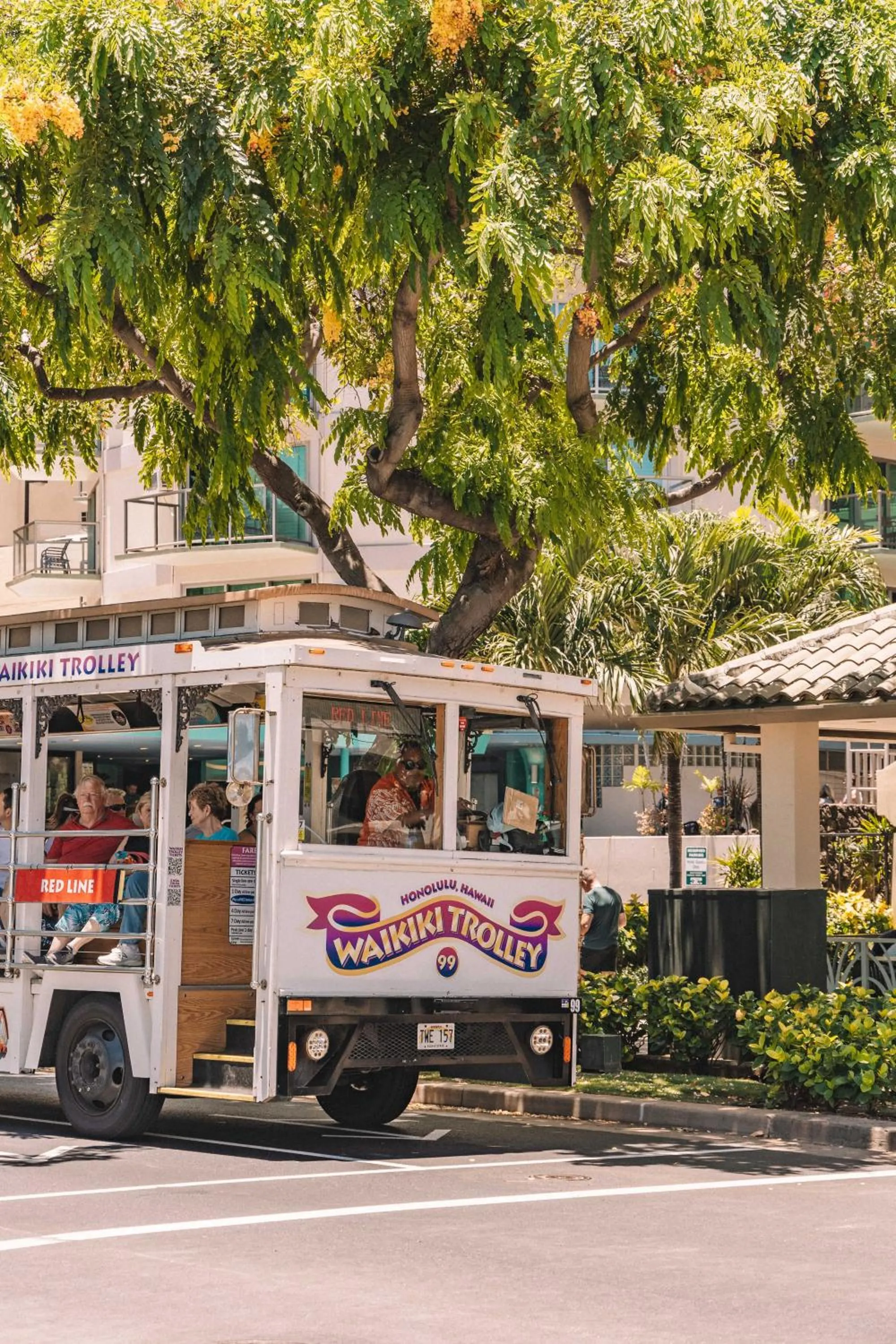 Day in Beautiful Studio in the Heart of Vibrant Waikiki