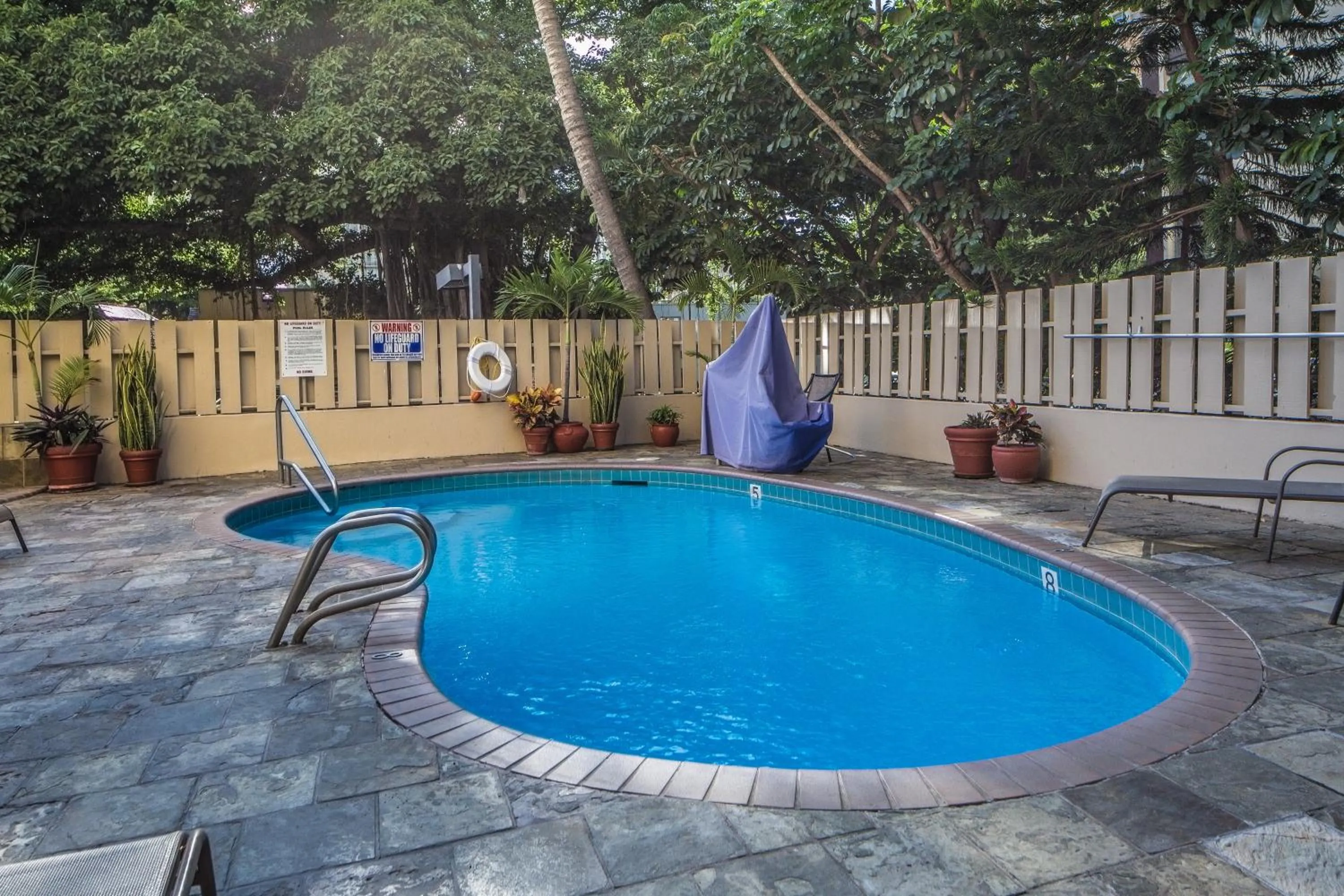 Swimming pool in Beautiful Studio in the Heart of Vibrant Waikiki