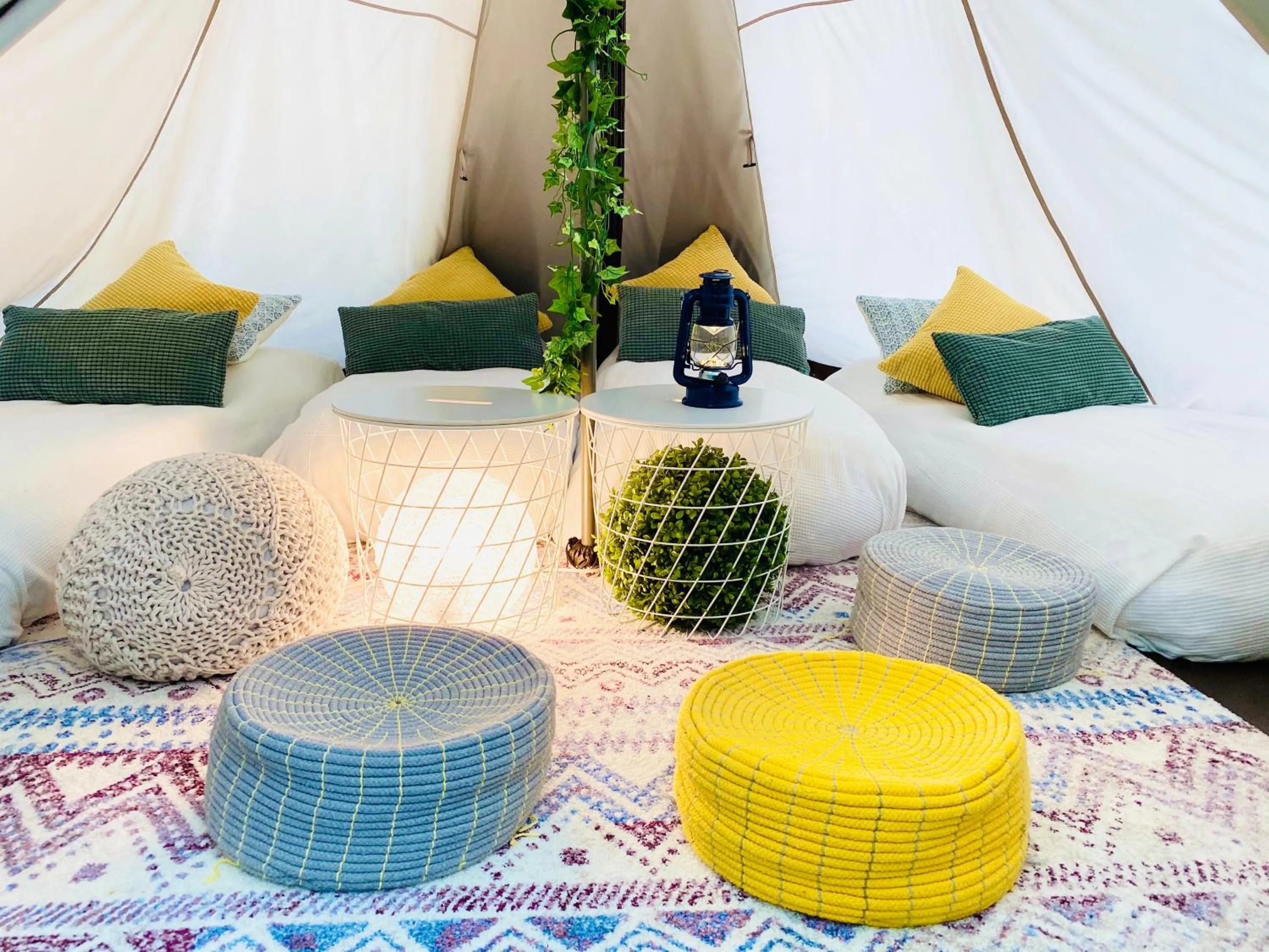 Photo of the whole room in Ikoisanso