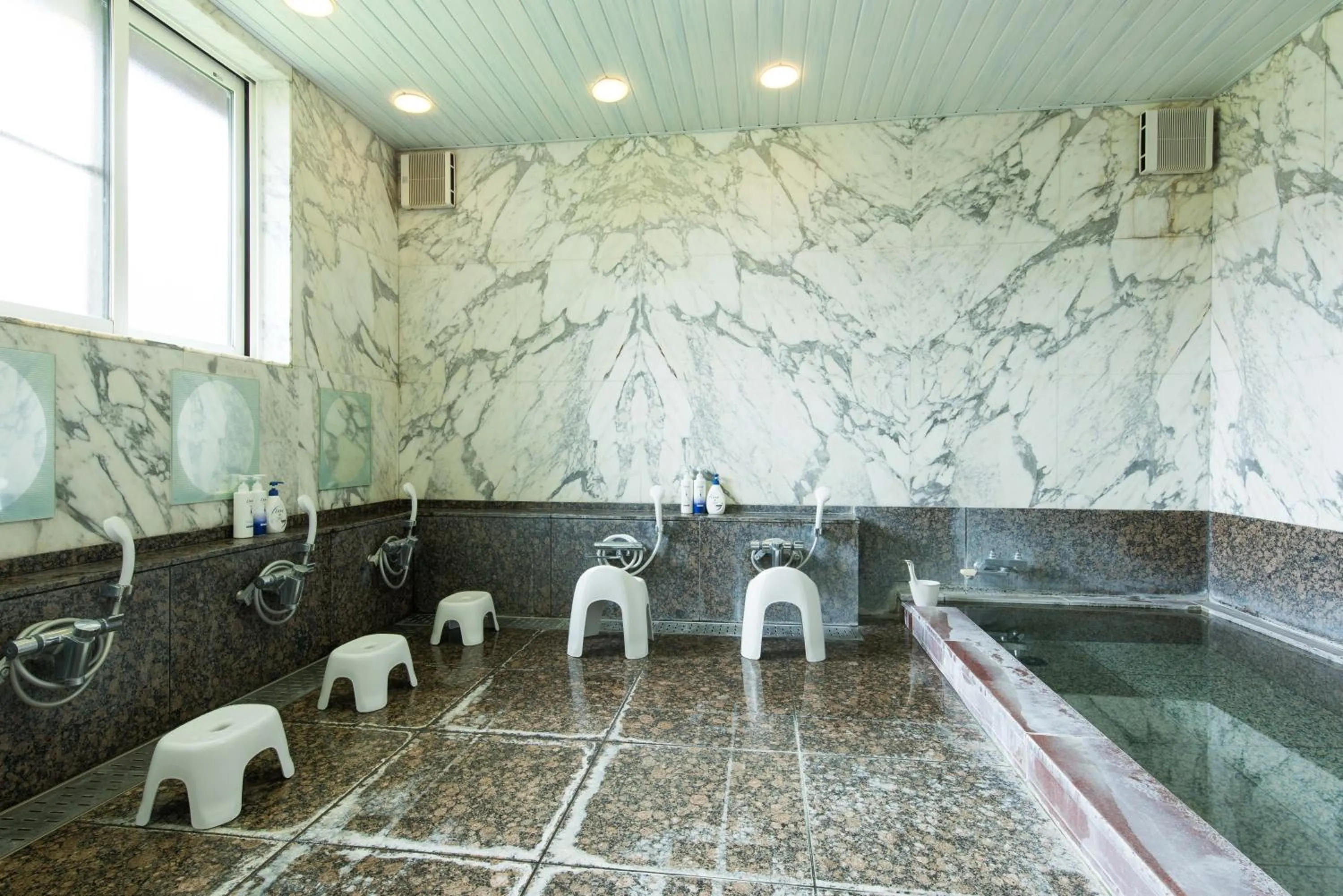 Public Bath, Bathroom in Ikoisanso