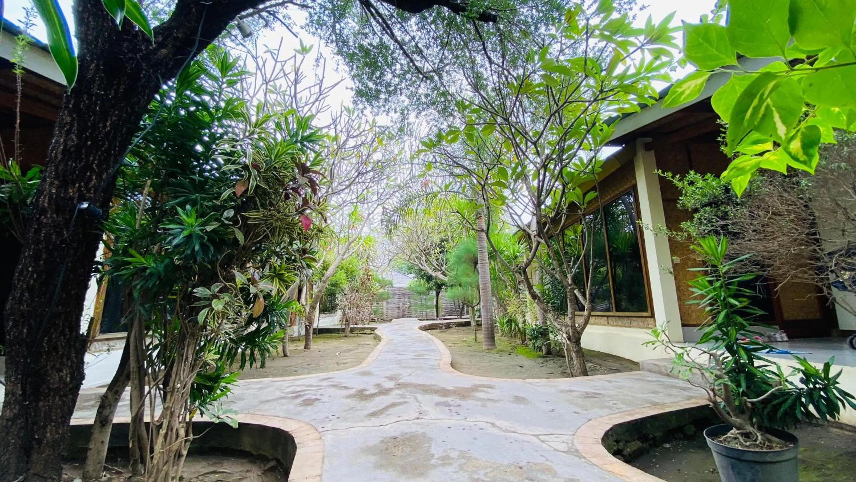 Garden view in Balenta Bungalow Gili Trawangan