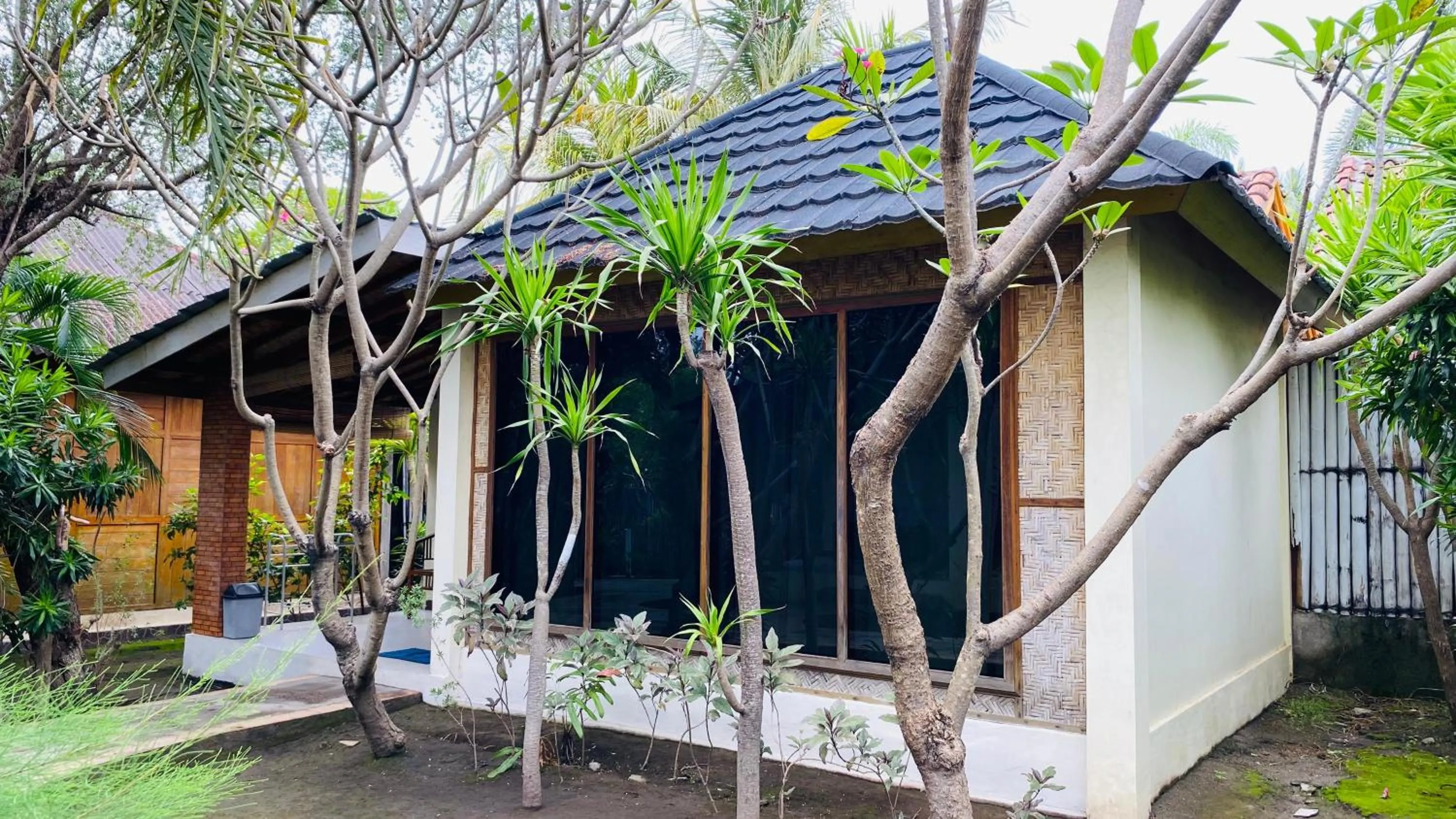 Garden view in Balenta Bungalow Gili Trawangan