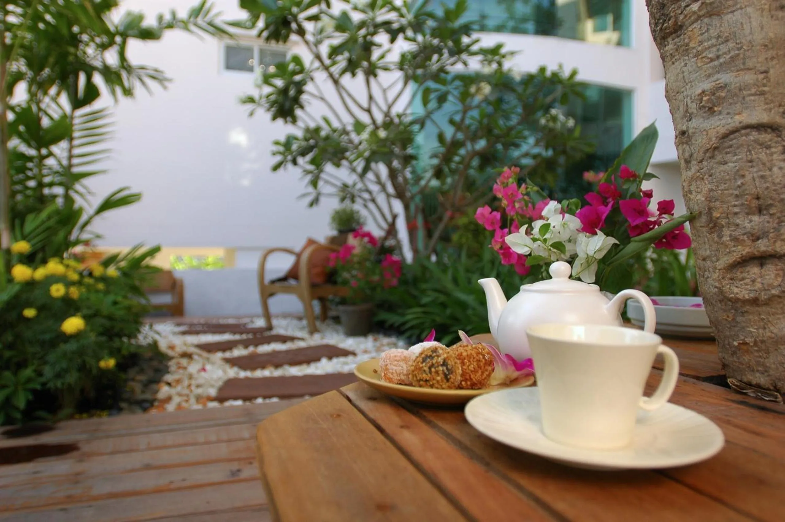 Garden in Bansabai Hostelling International