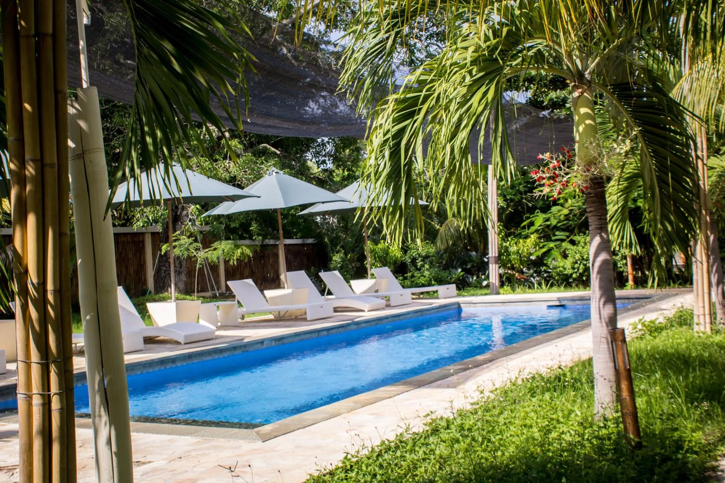Pool view in Kaluku Gili Resort