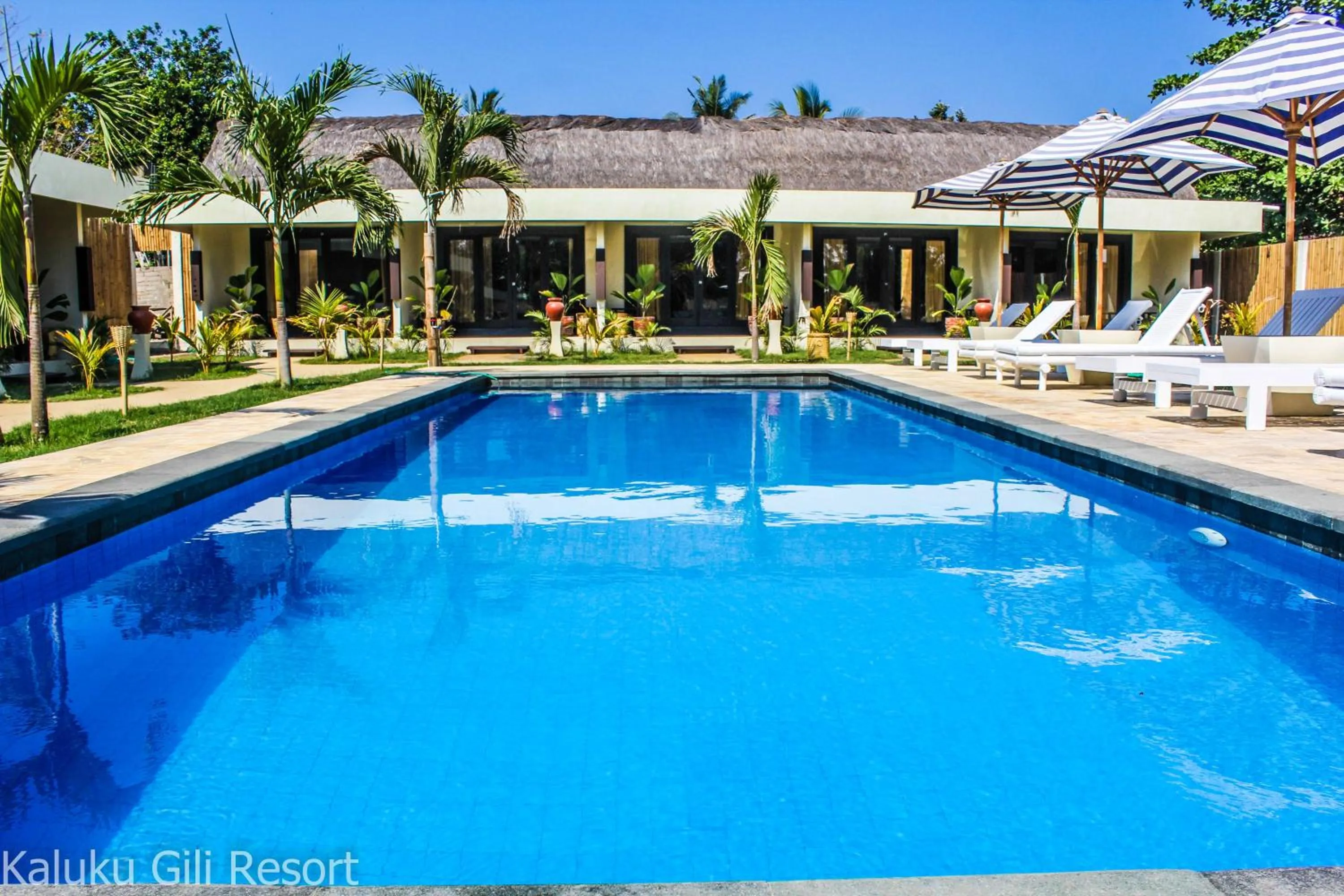 Pool view in Kaluku Gili Resort