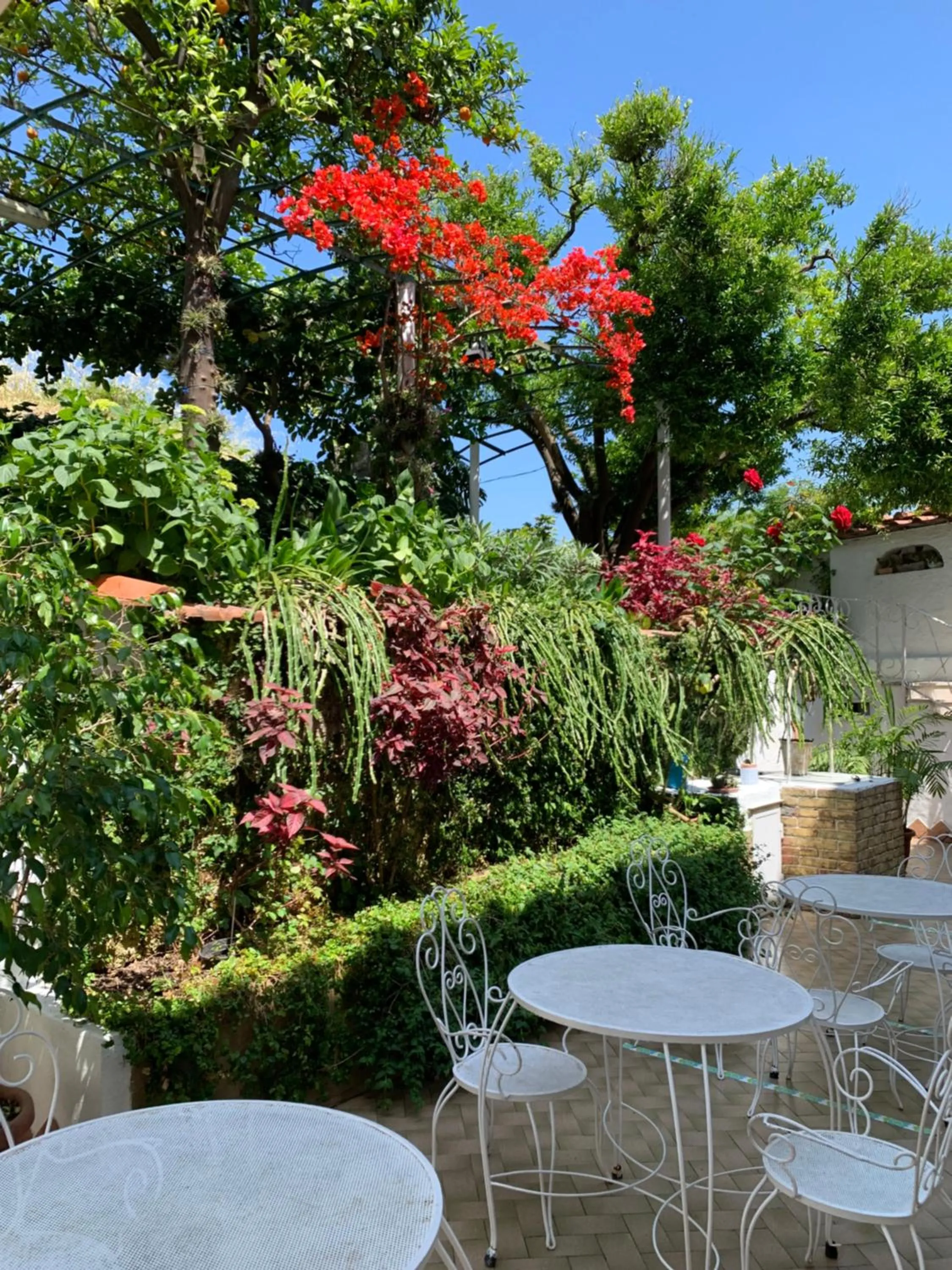 Patio in Hotel & Residence Matarese