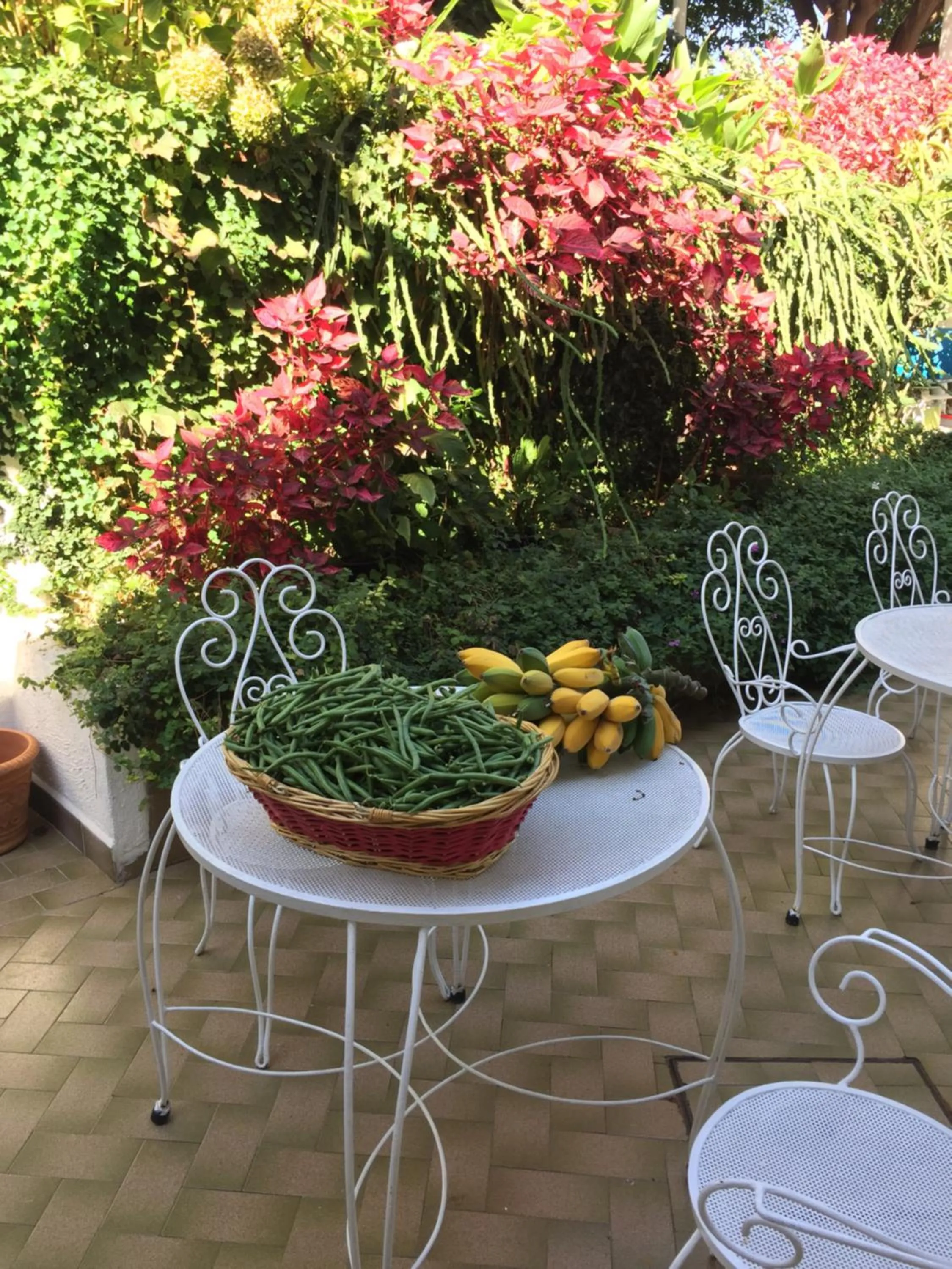 Hotel & Residence Matarese