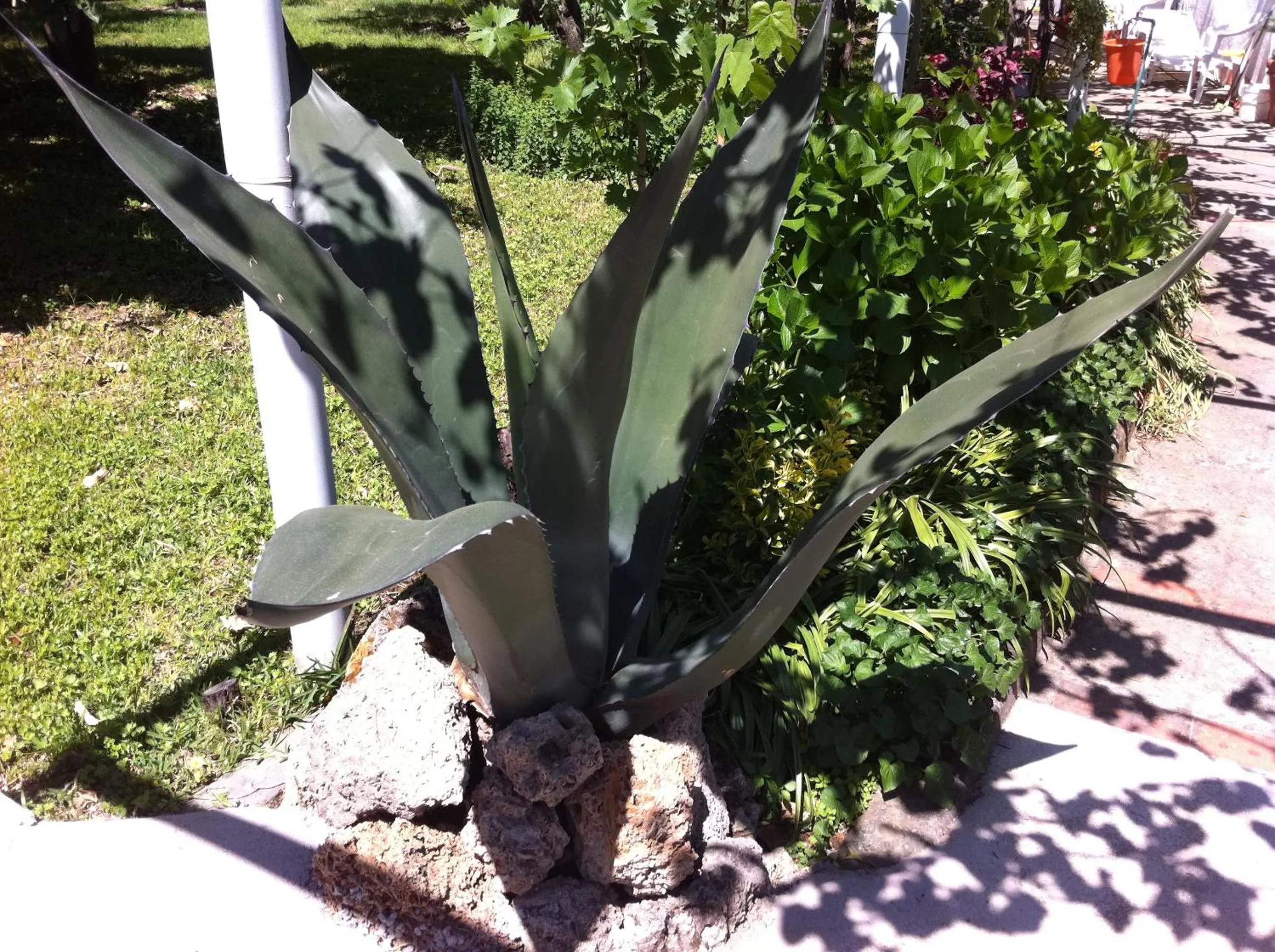 Garden in Hotel & Residence Matarese