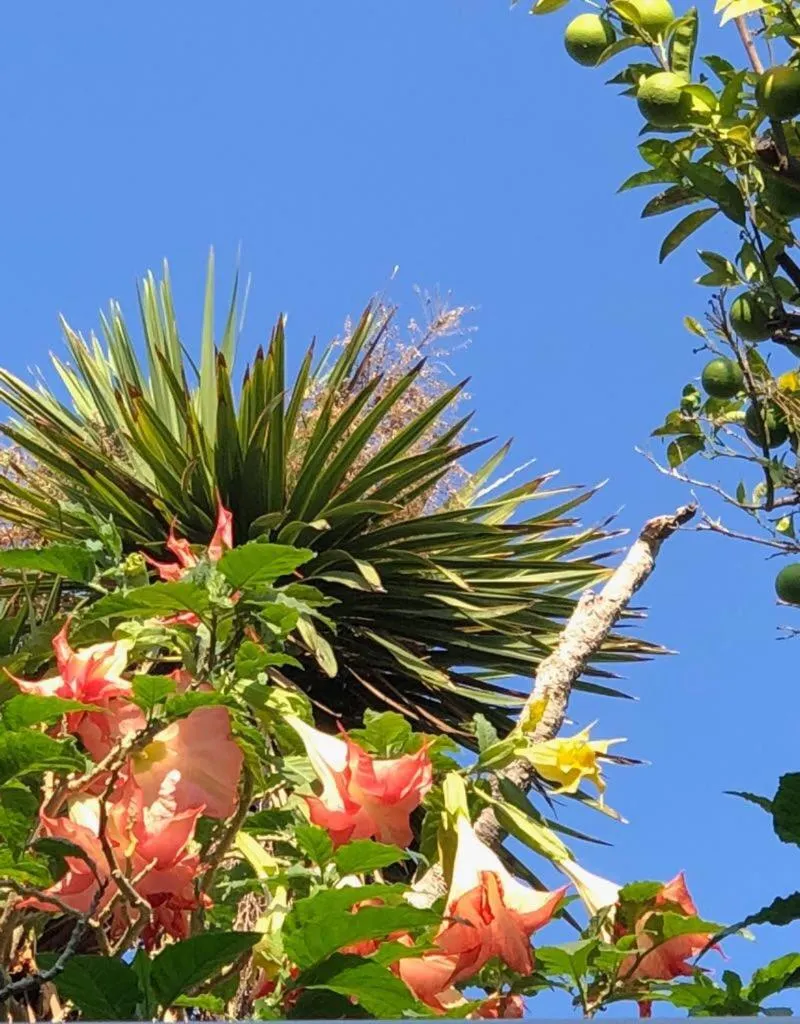 Hotel & Residence Matarese