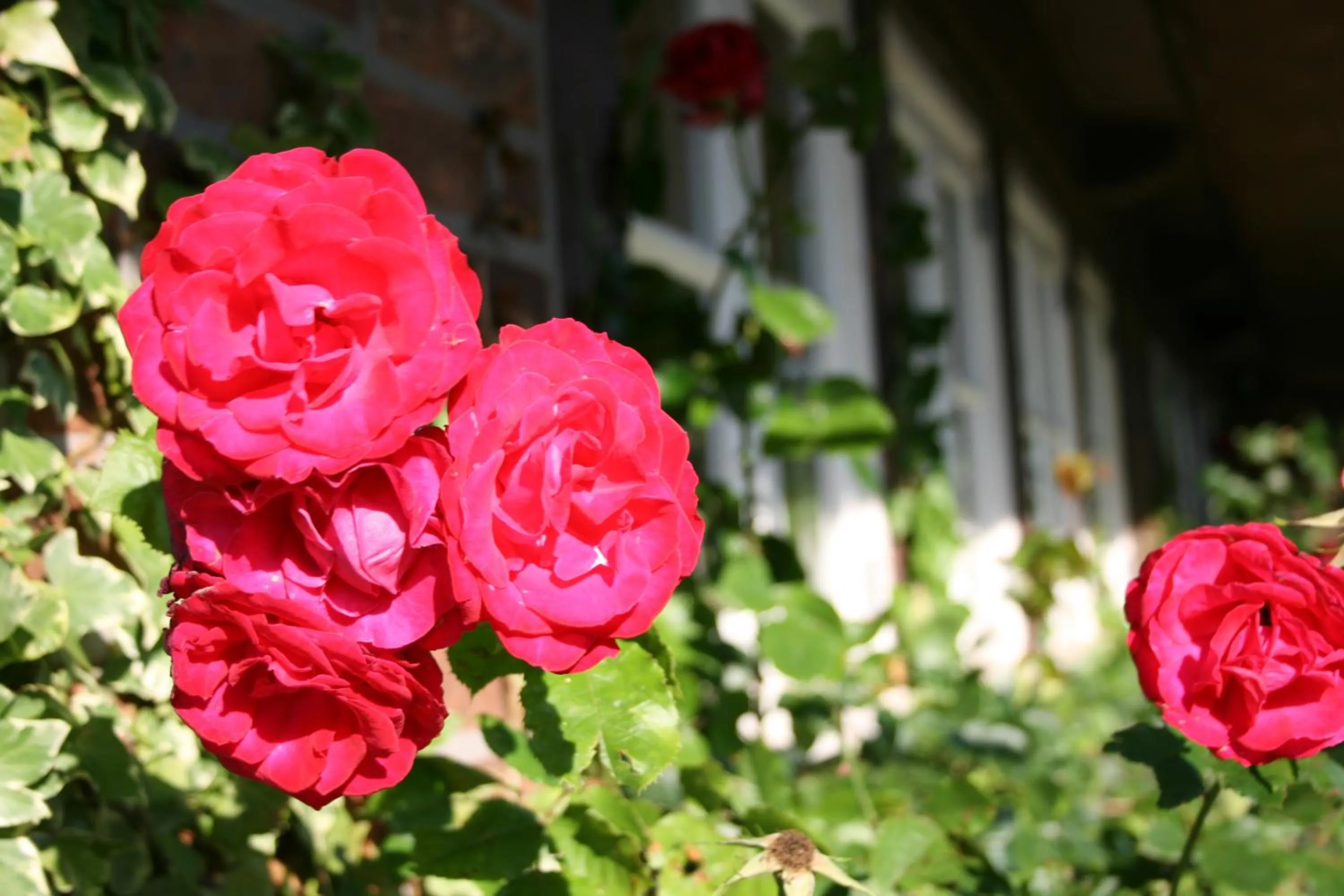 Property building in Fischerwiege am Passader See