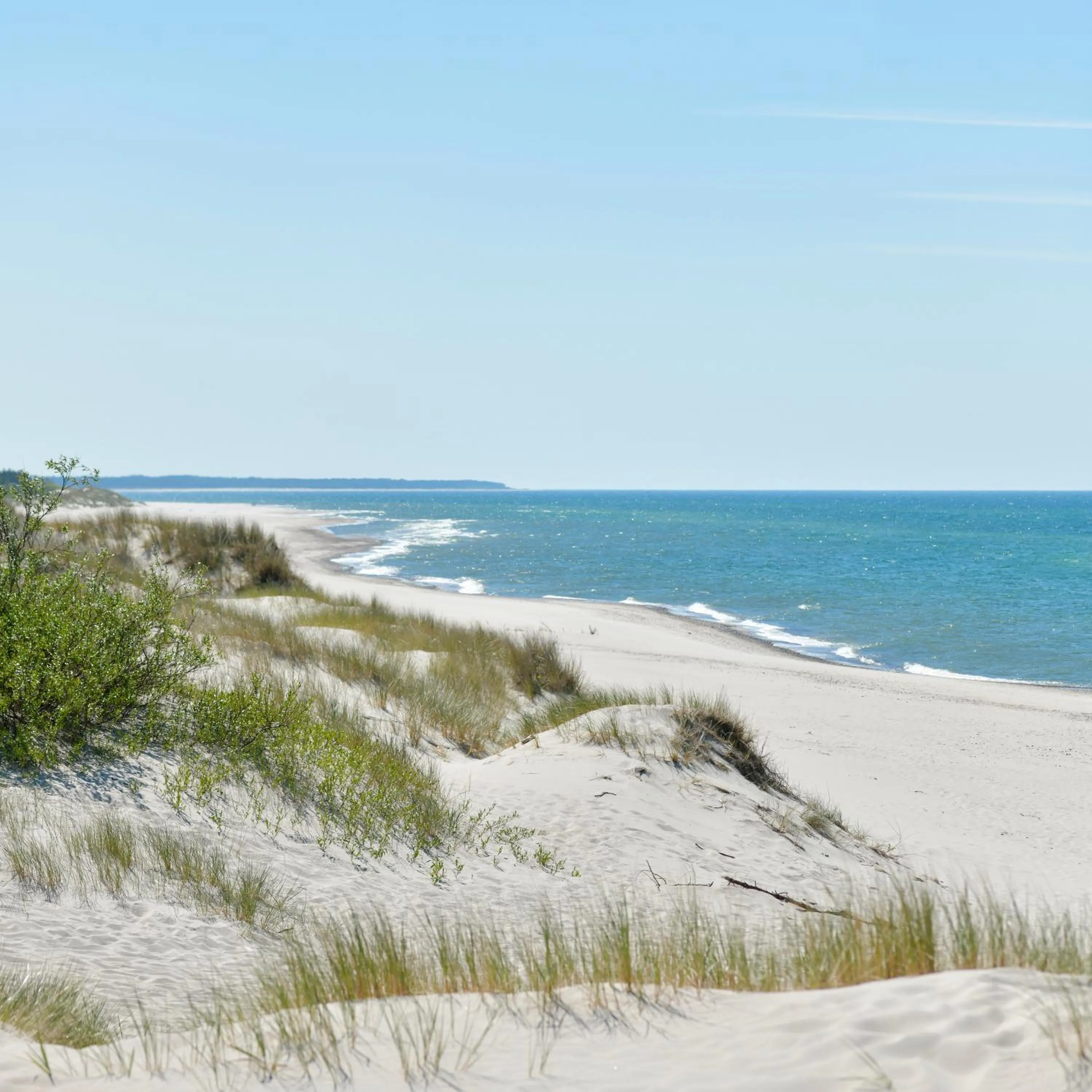 Beach in The Sun by Lubicz