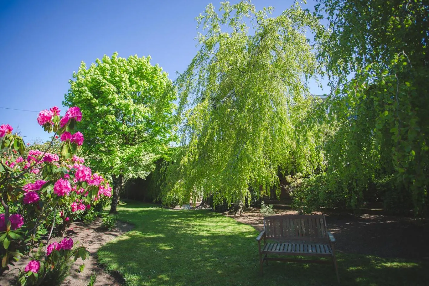 Garden in Diamond Hill Country House