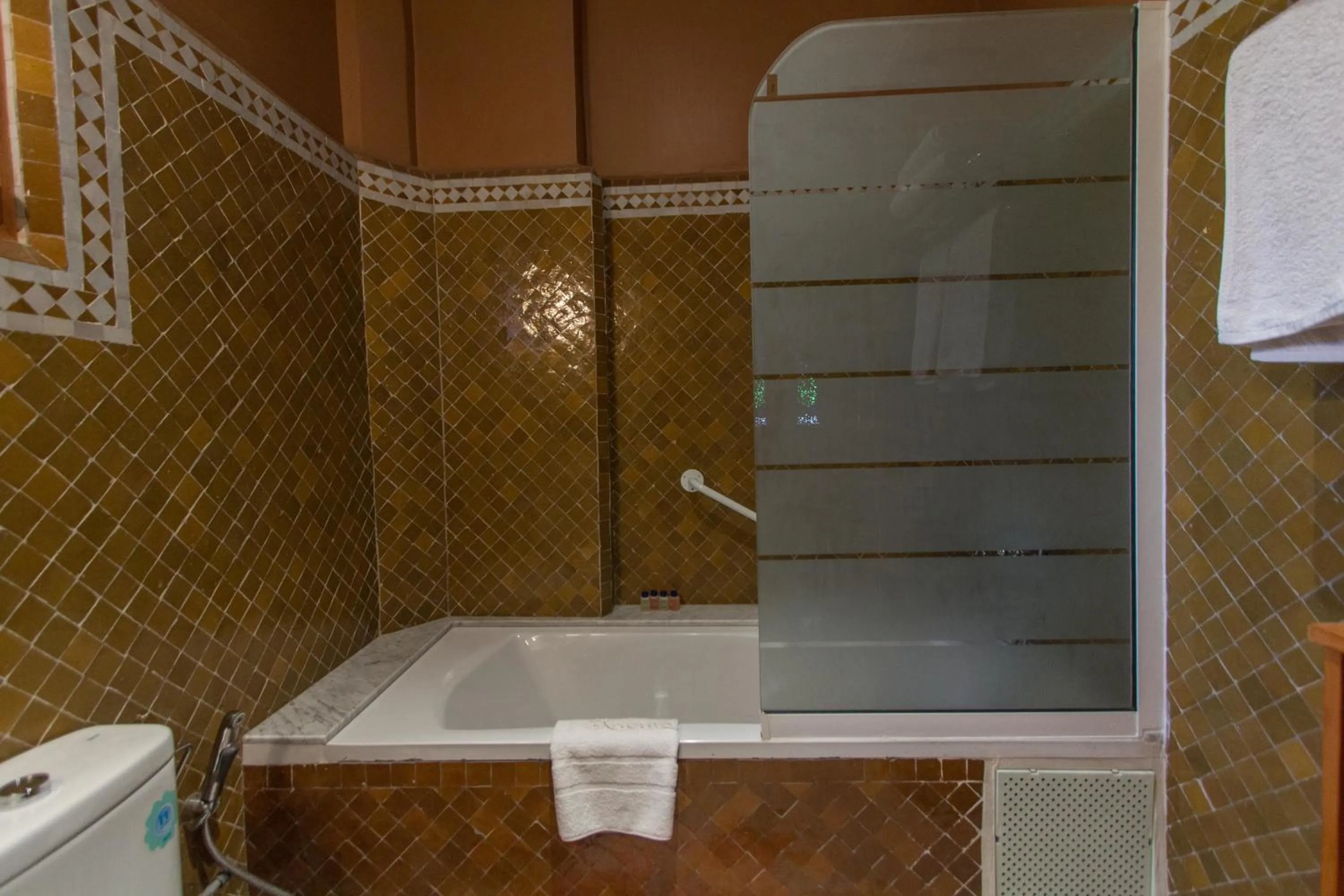 Shower in Riad Raouia HAMMAM & SPA