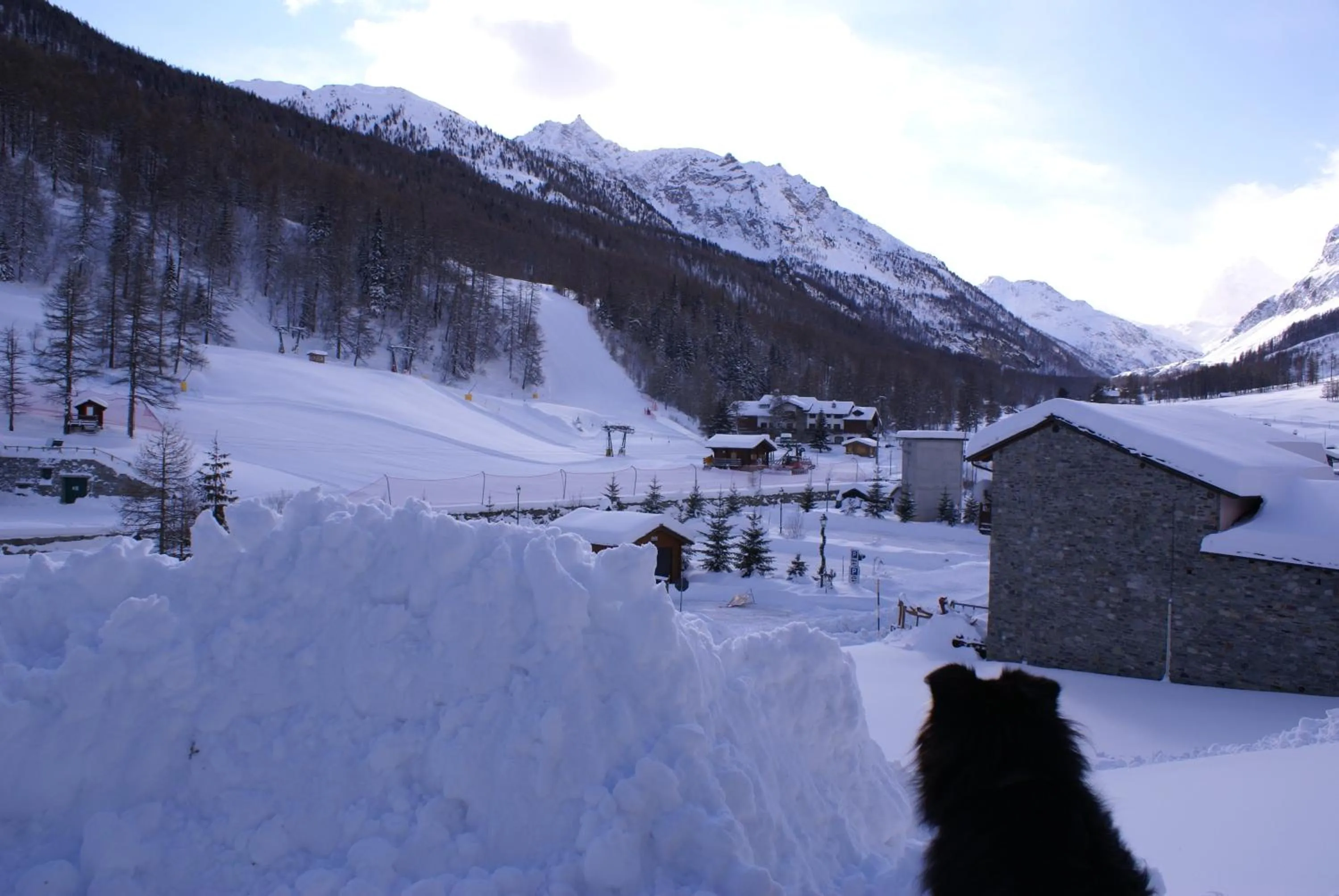 Animals in Albergo Boule de Neige
