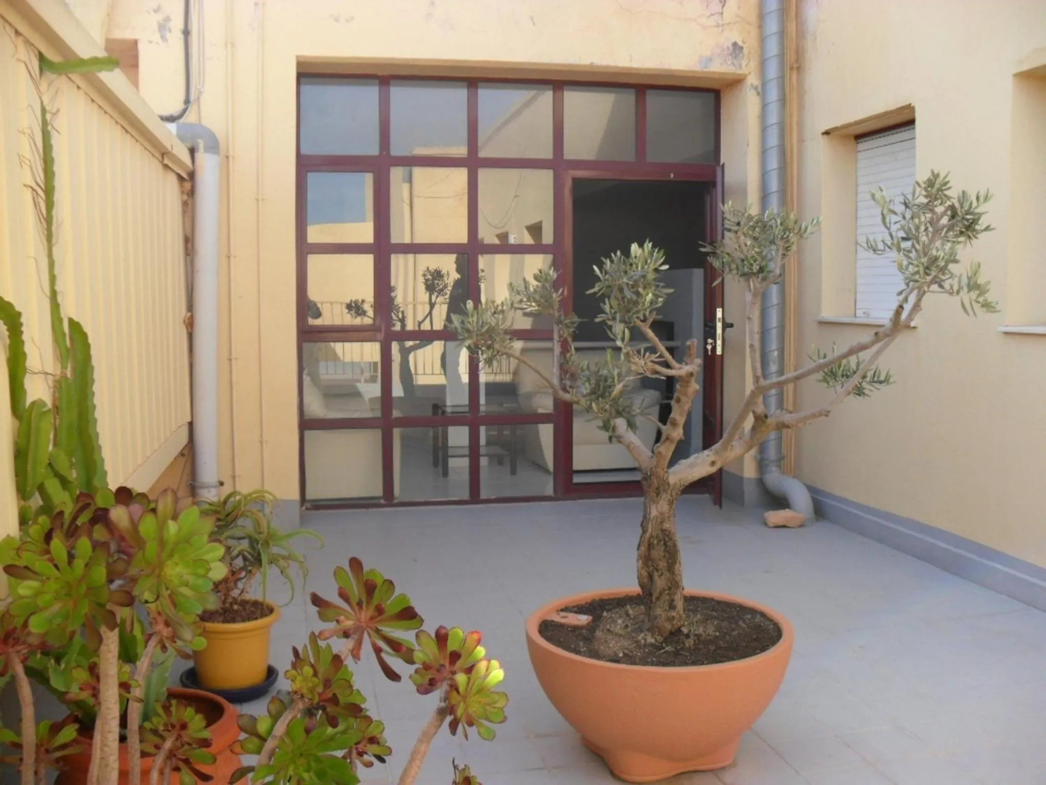 Balcony/Terrace in Hotel Lo Monte