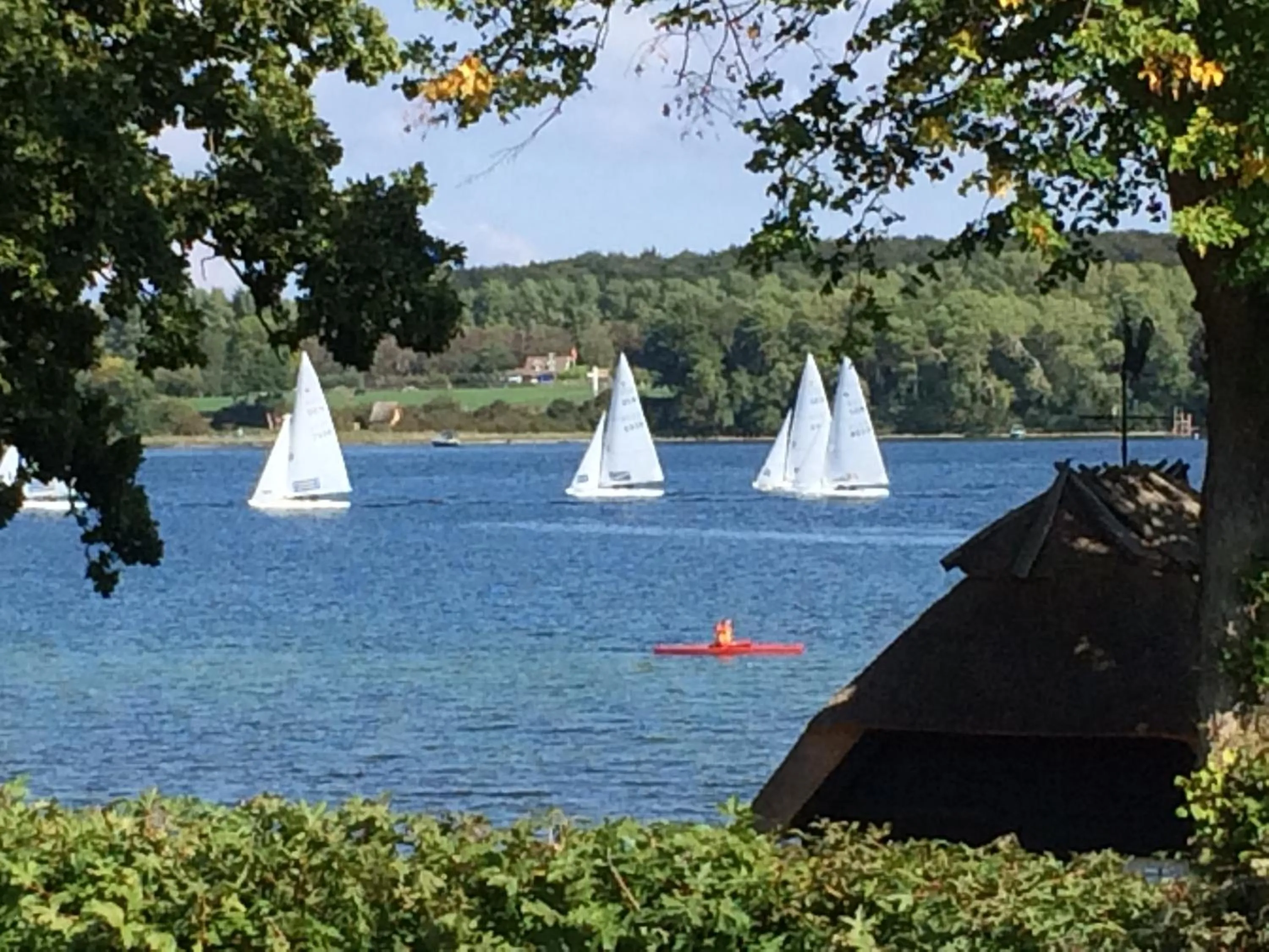 Sea view in Troense Bed and Breakfast by the sea