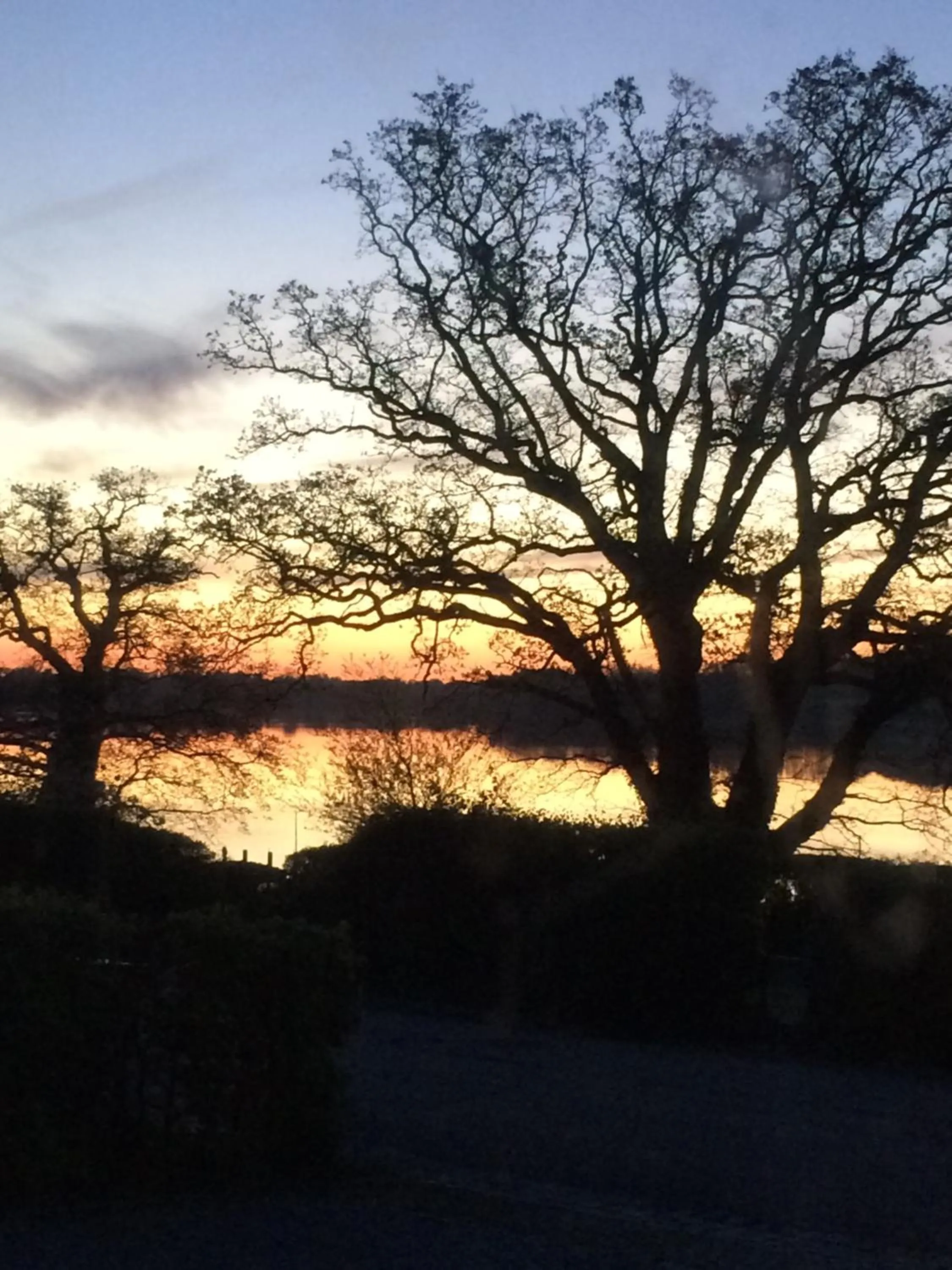 Sea view in Troense Bed and Breakfast by the sea